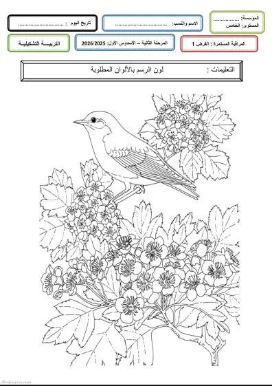 معاينة الامتحان