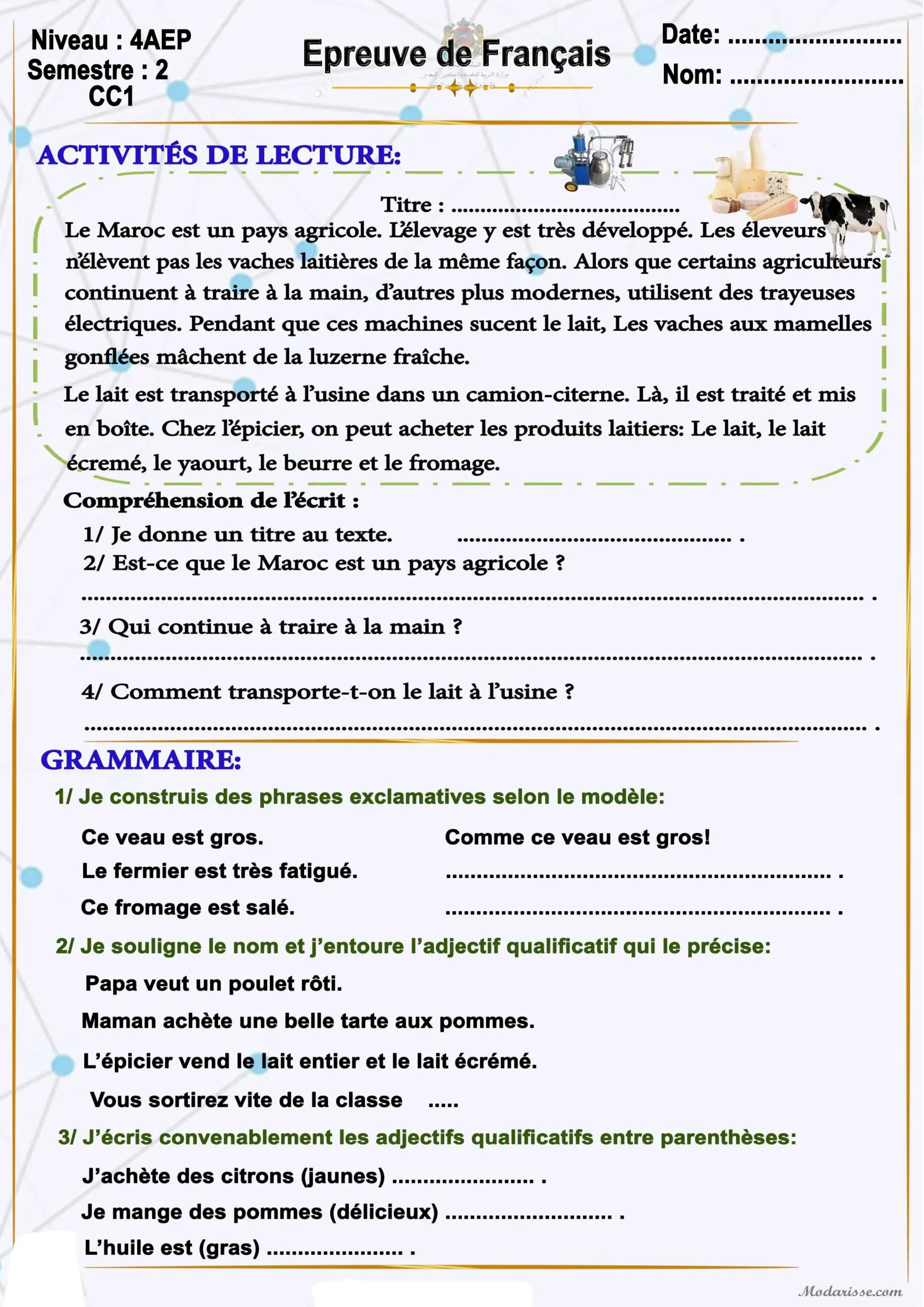 معاينة الامتحان