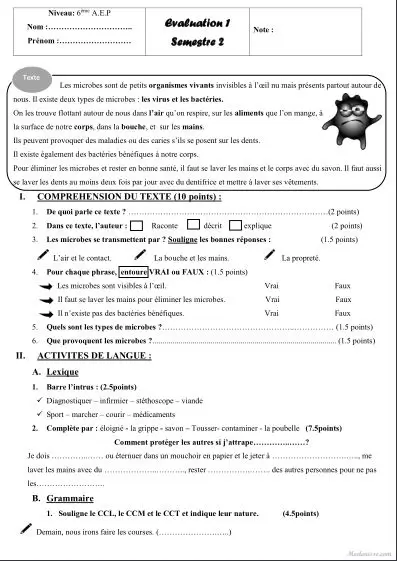 معاينة الامتحان