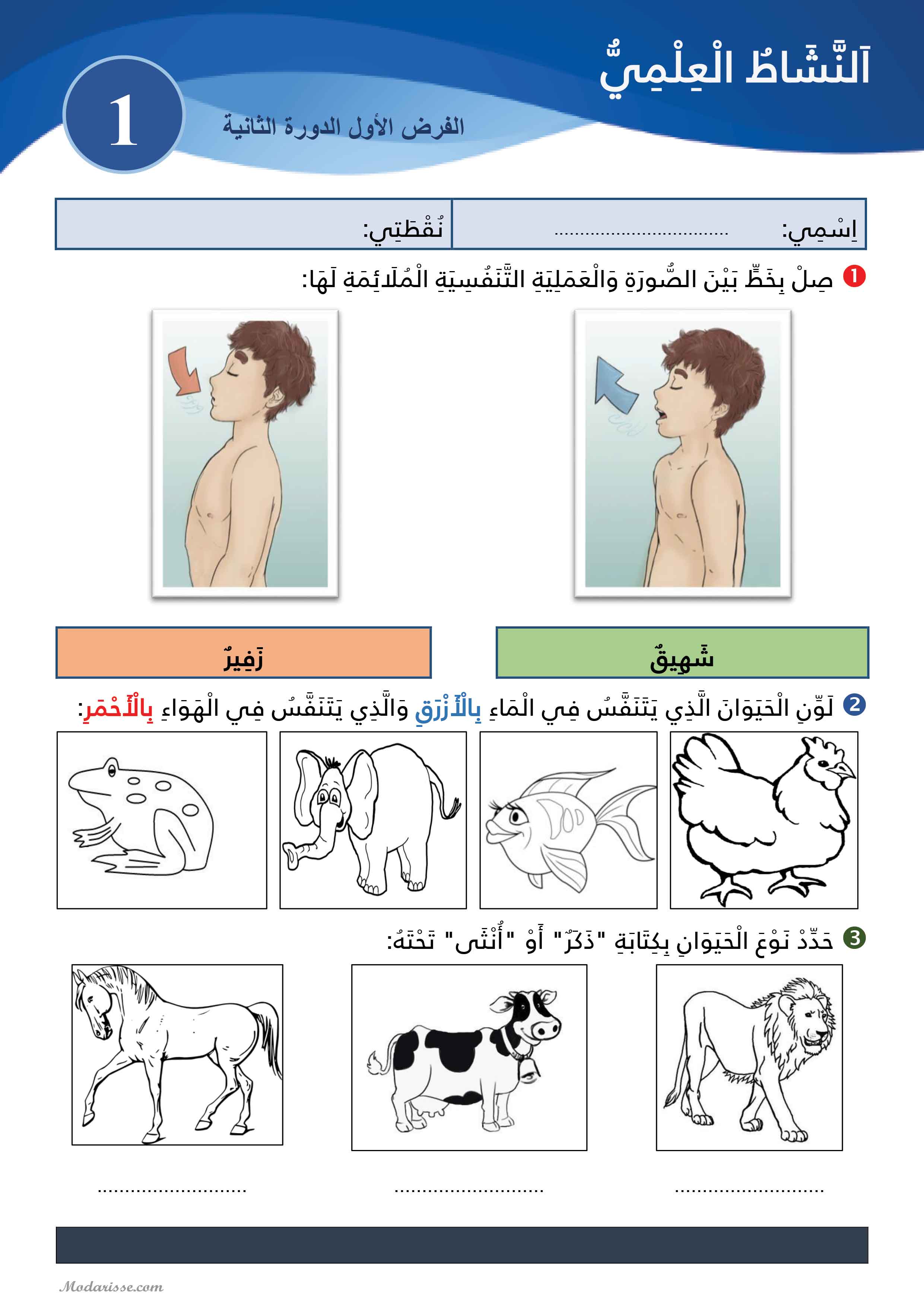 معاينة الامتحان