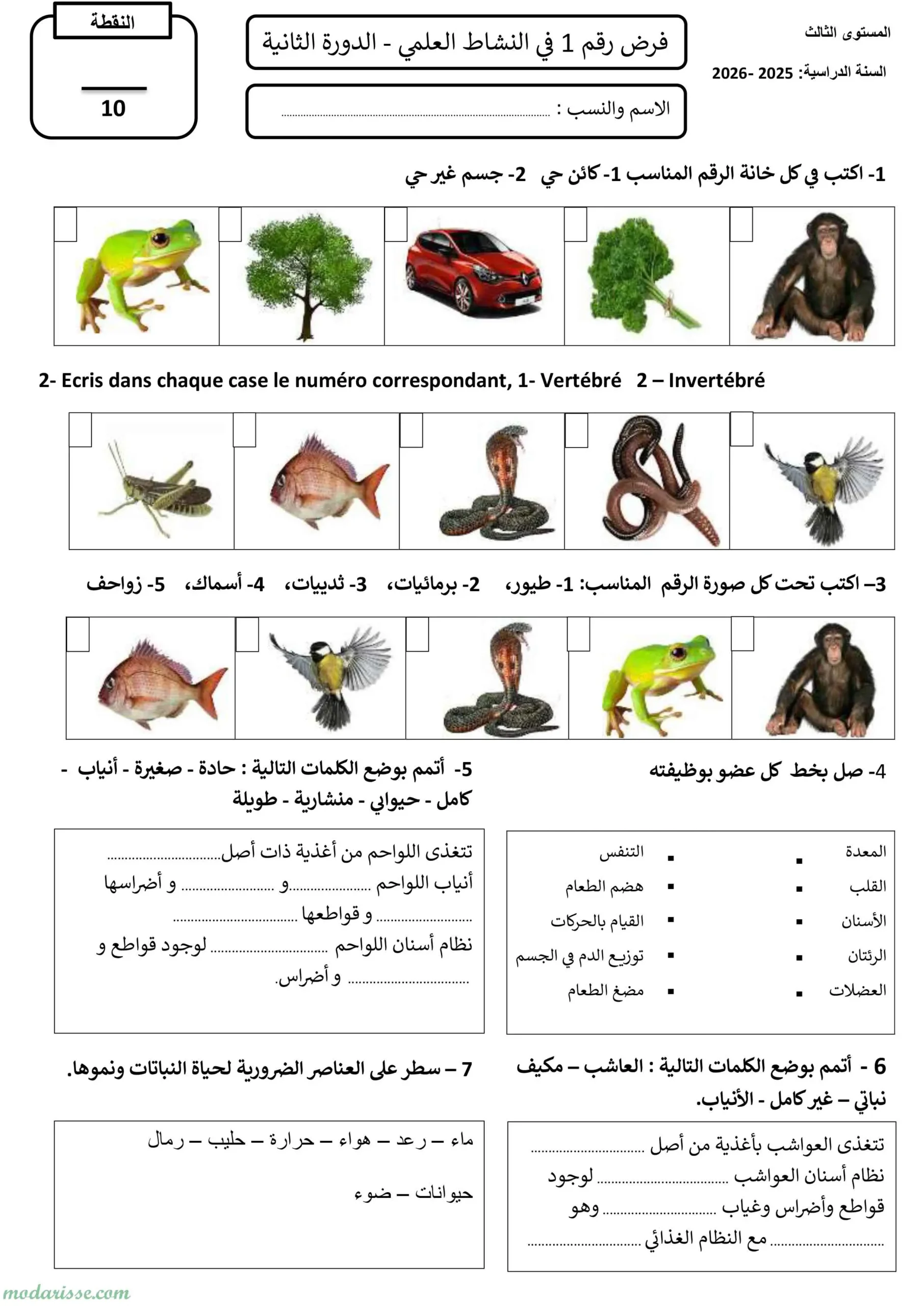 معاينة الامتحان