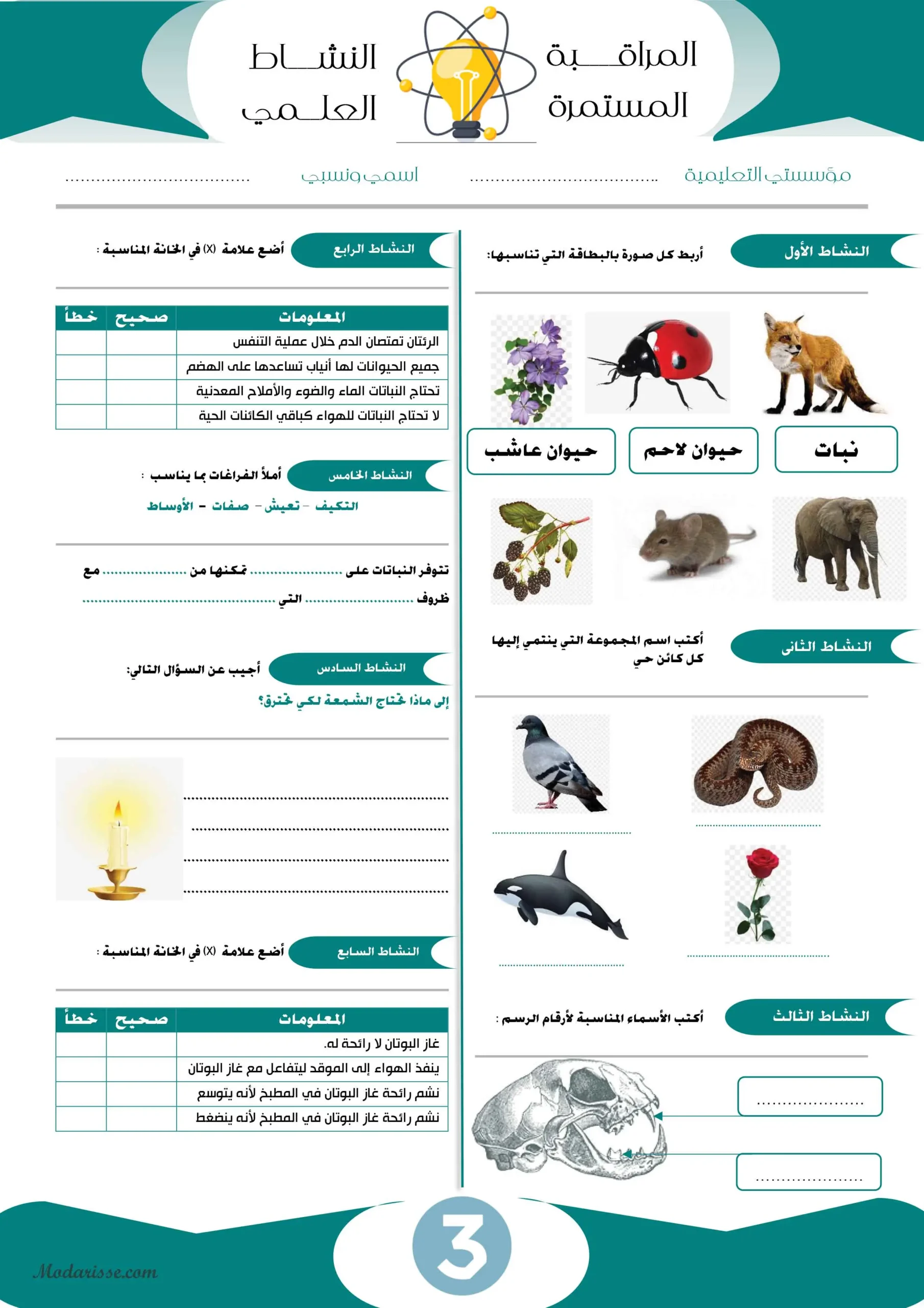 معاينة الامتحان