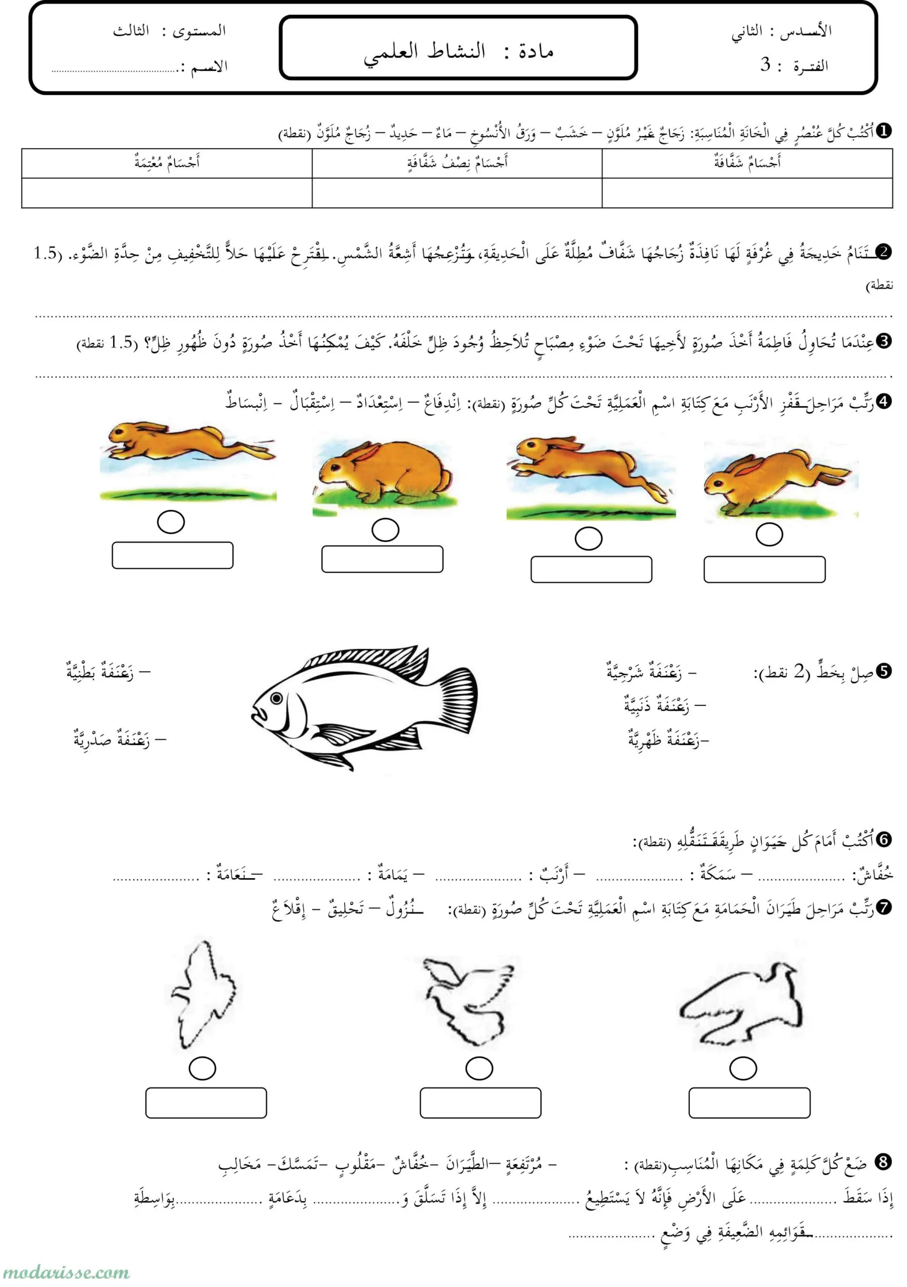 معاينة الامتحان