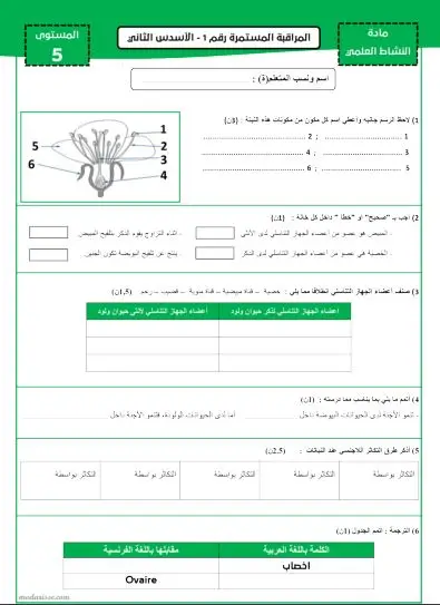 معاينة الامتحان