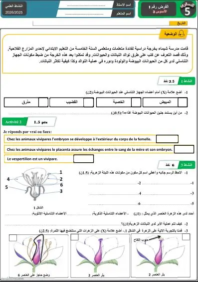 معاينة الامتحان