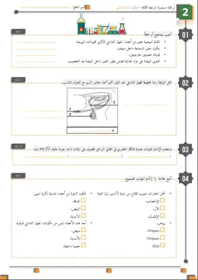 معاينة الامتحان