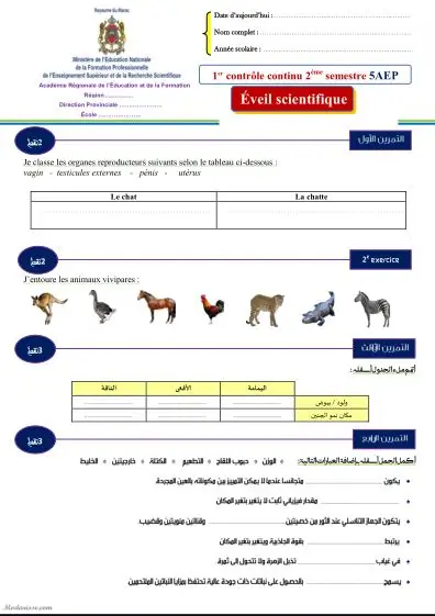 معاينة الامتحان