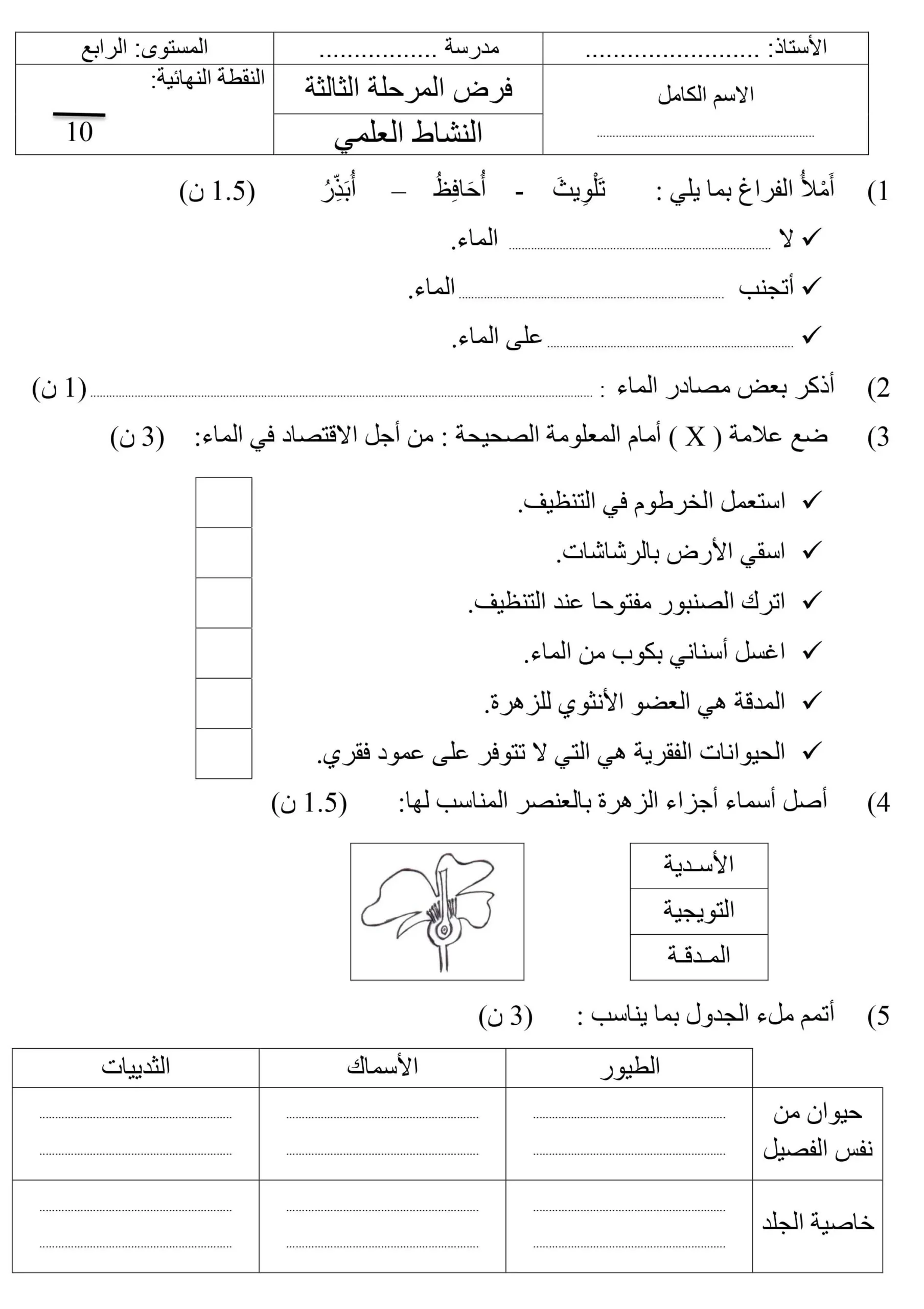معاينة الامتحان