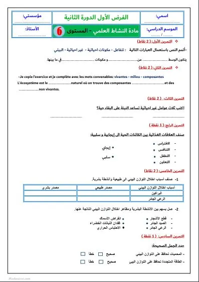 معاينة الامتحان