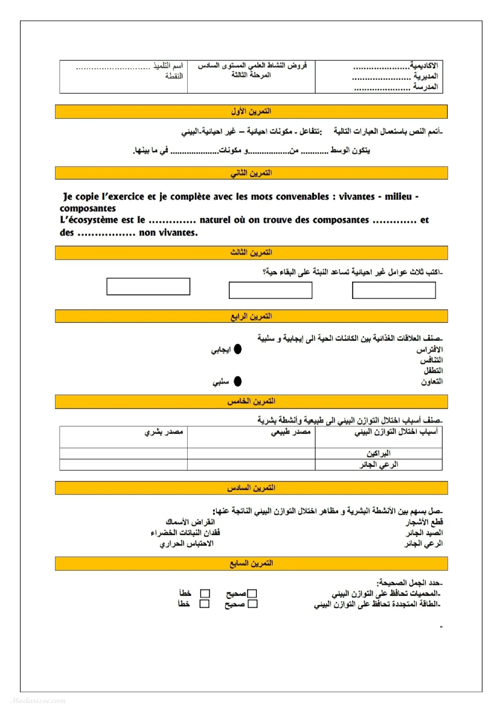 معاينة الامتحان