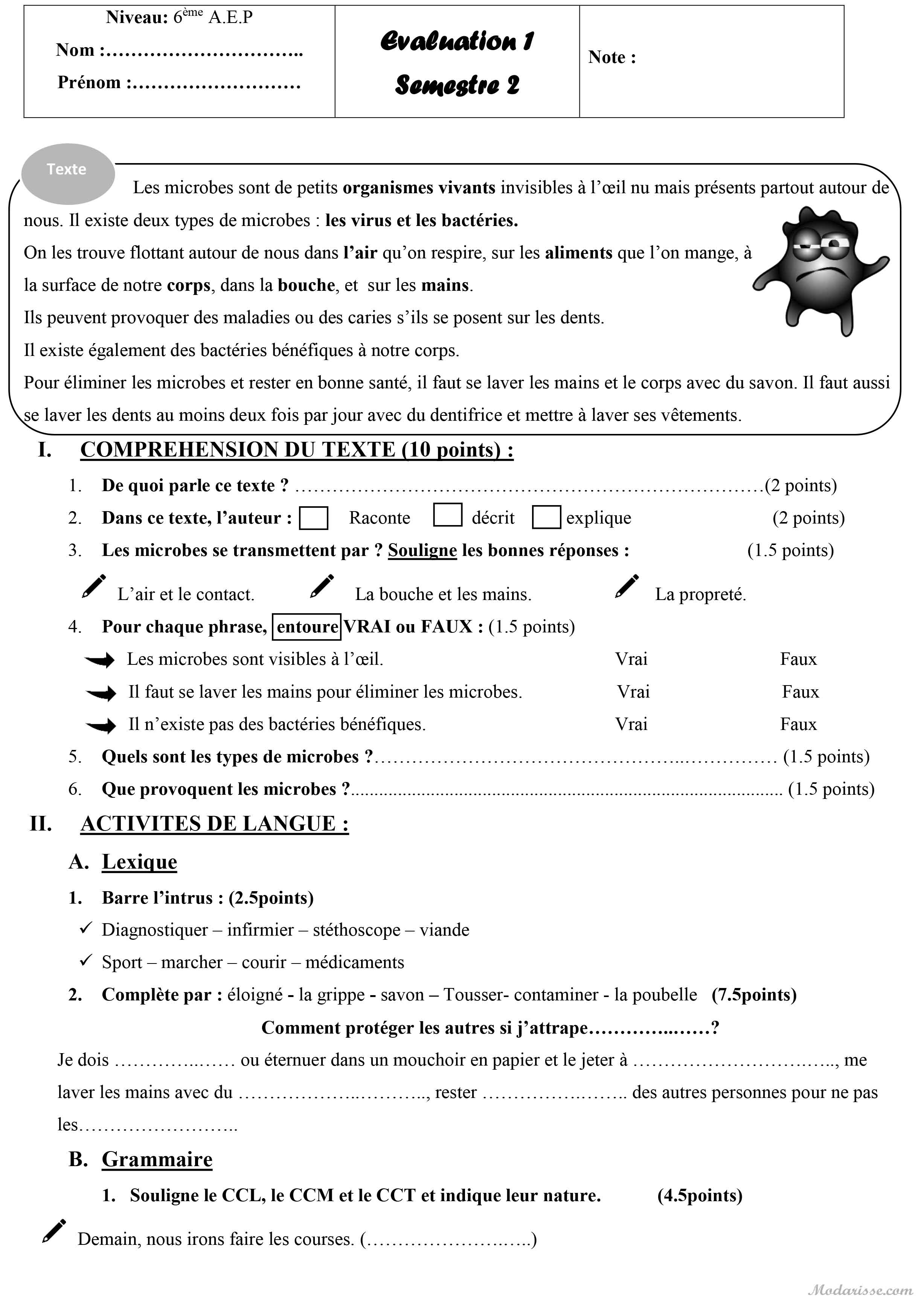 معاينة الامتحان