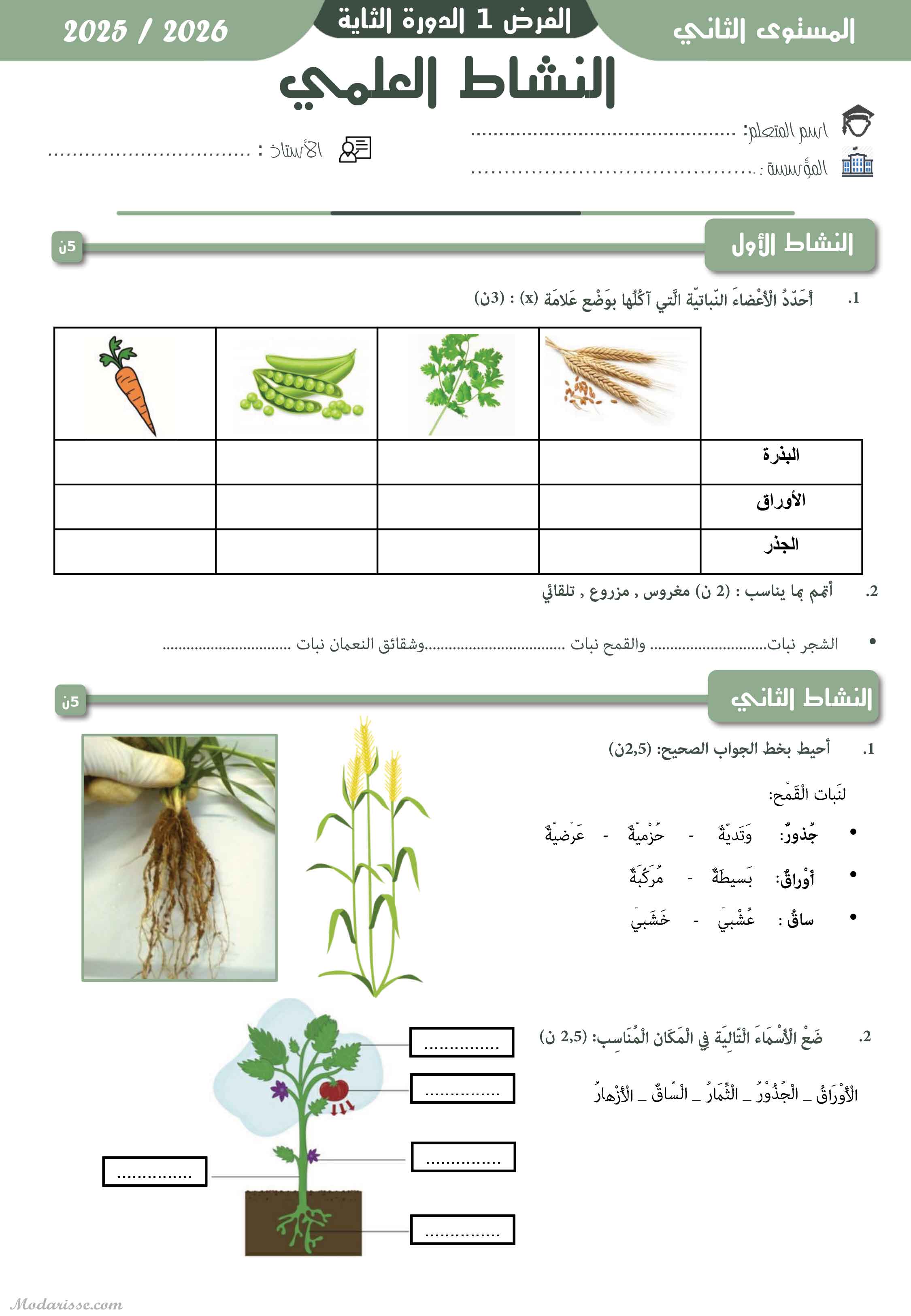 معاينة الامتحان