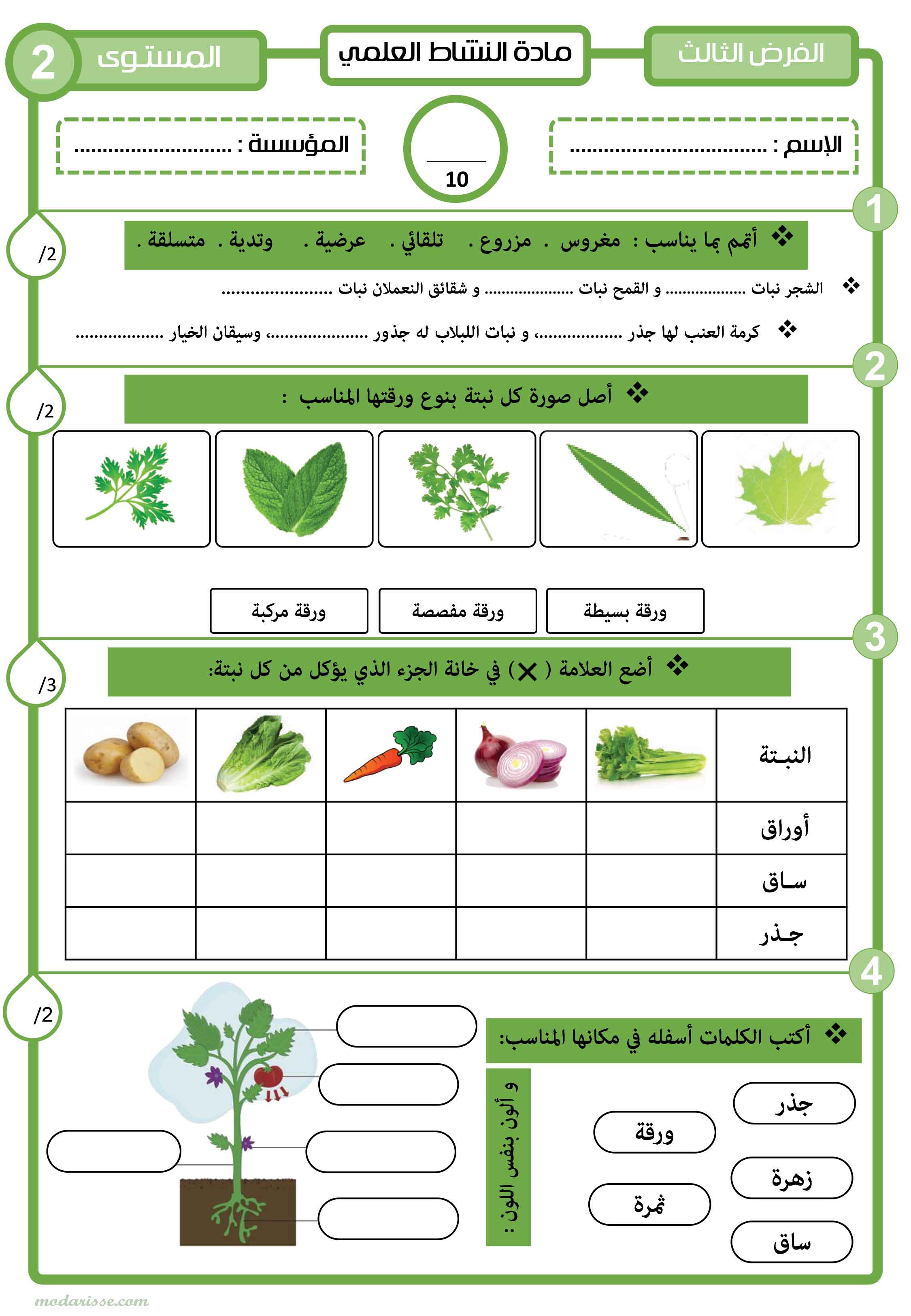 معاينة الامتحان