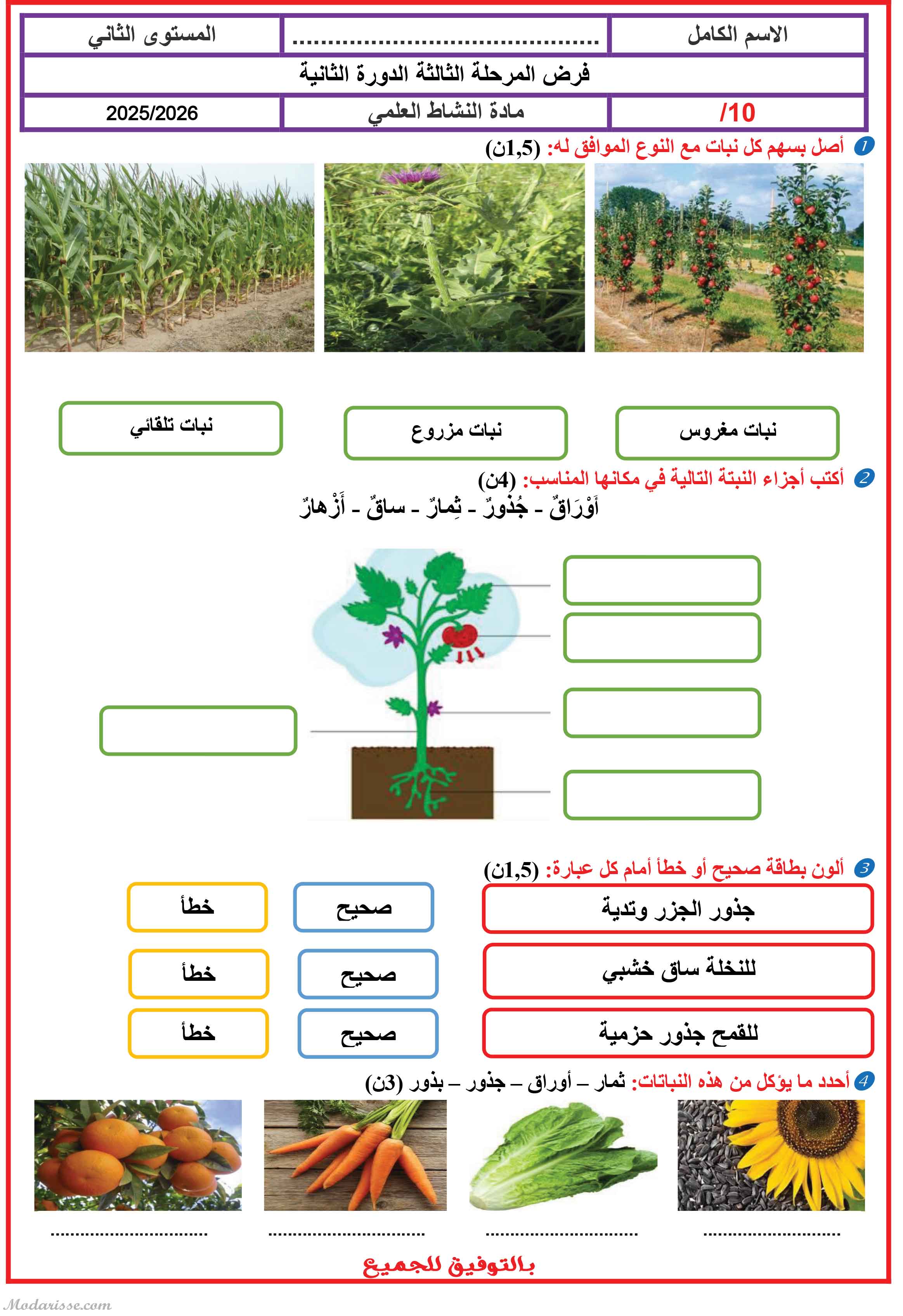 معاينة الامتحان