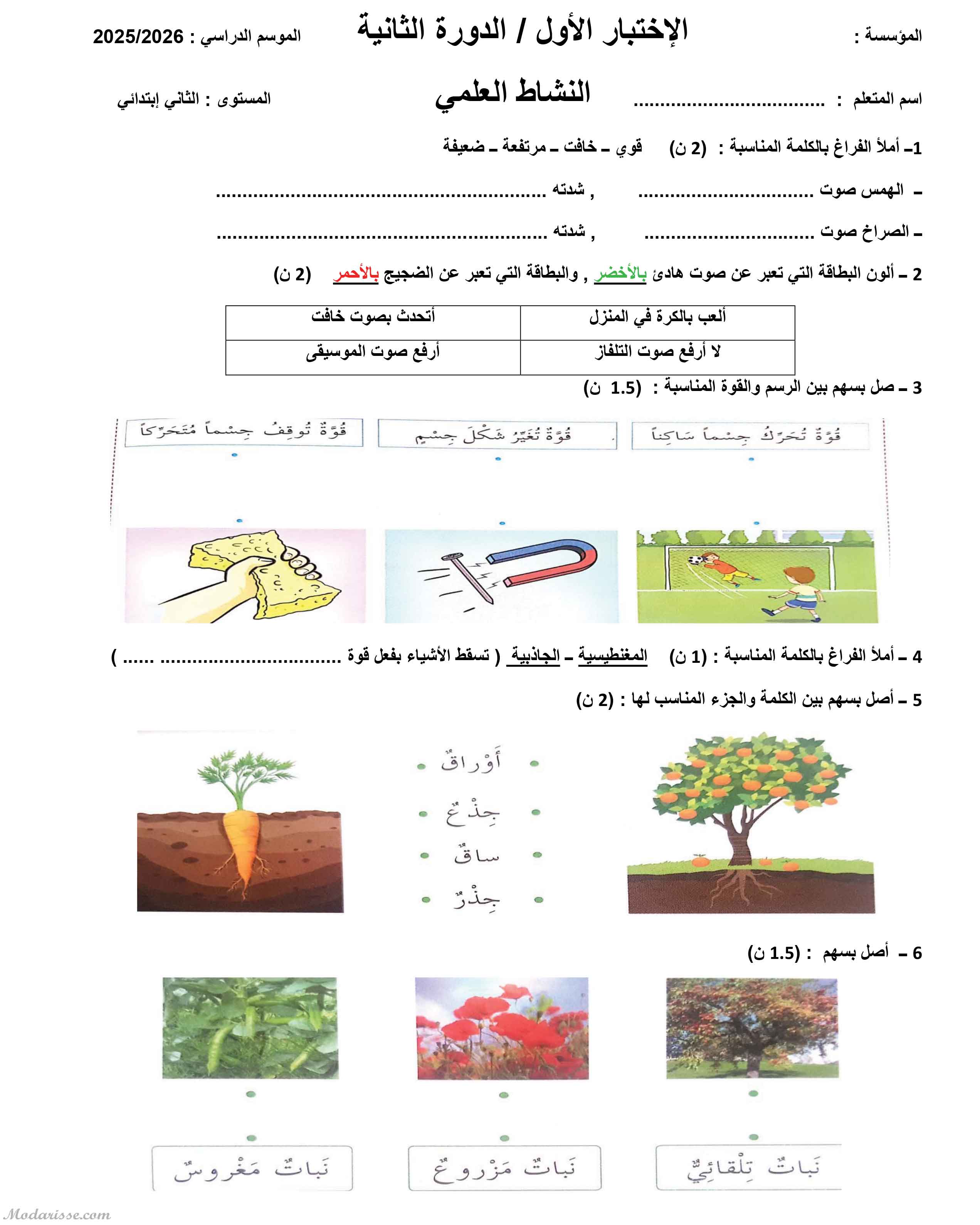 معاينة الامتحان