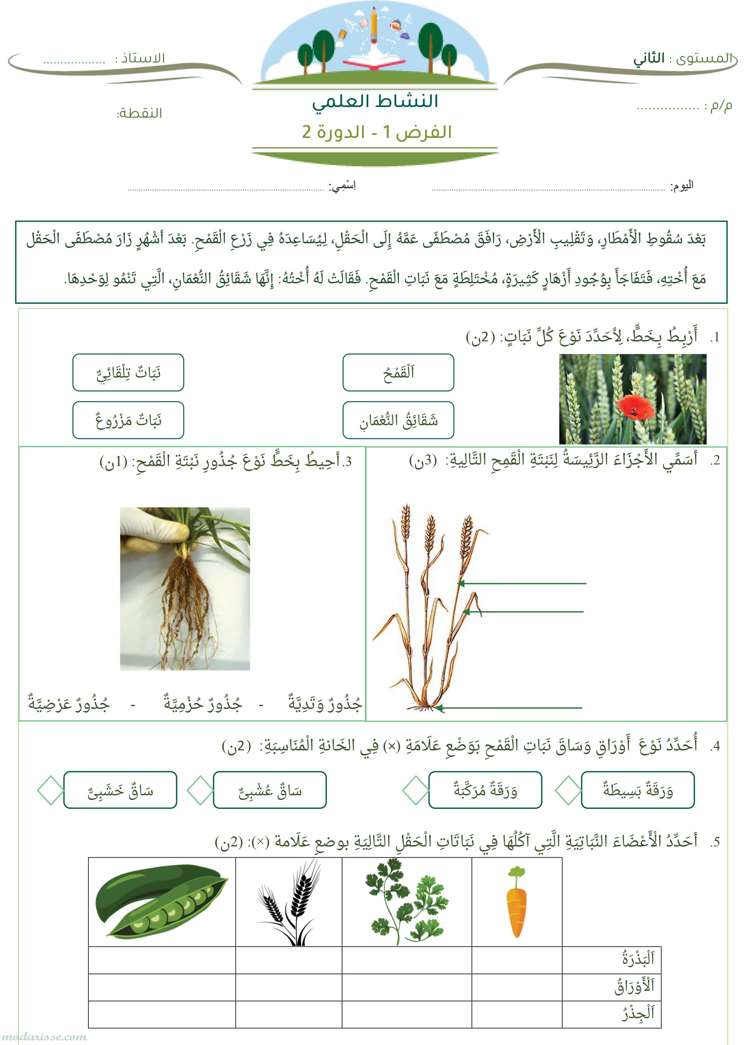 معاينة الامتحان