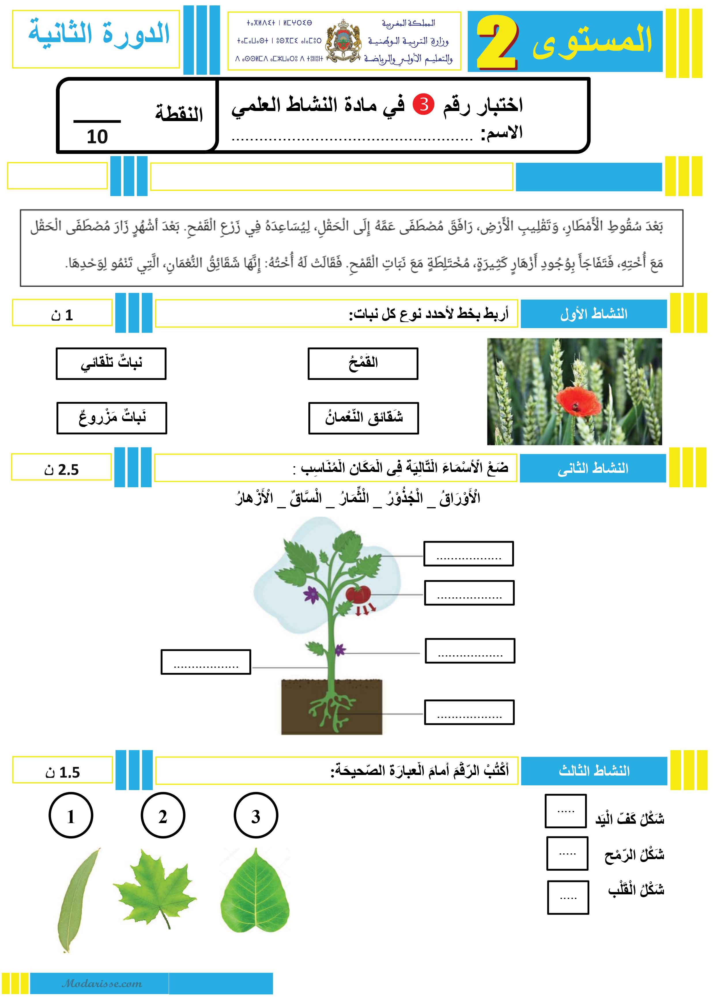 معاينة الامتحان