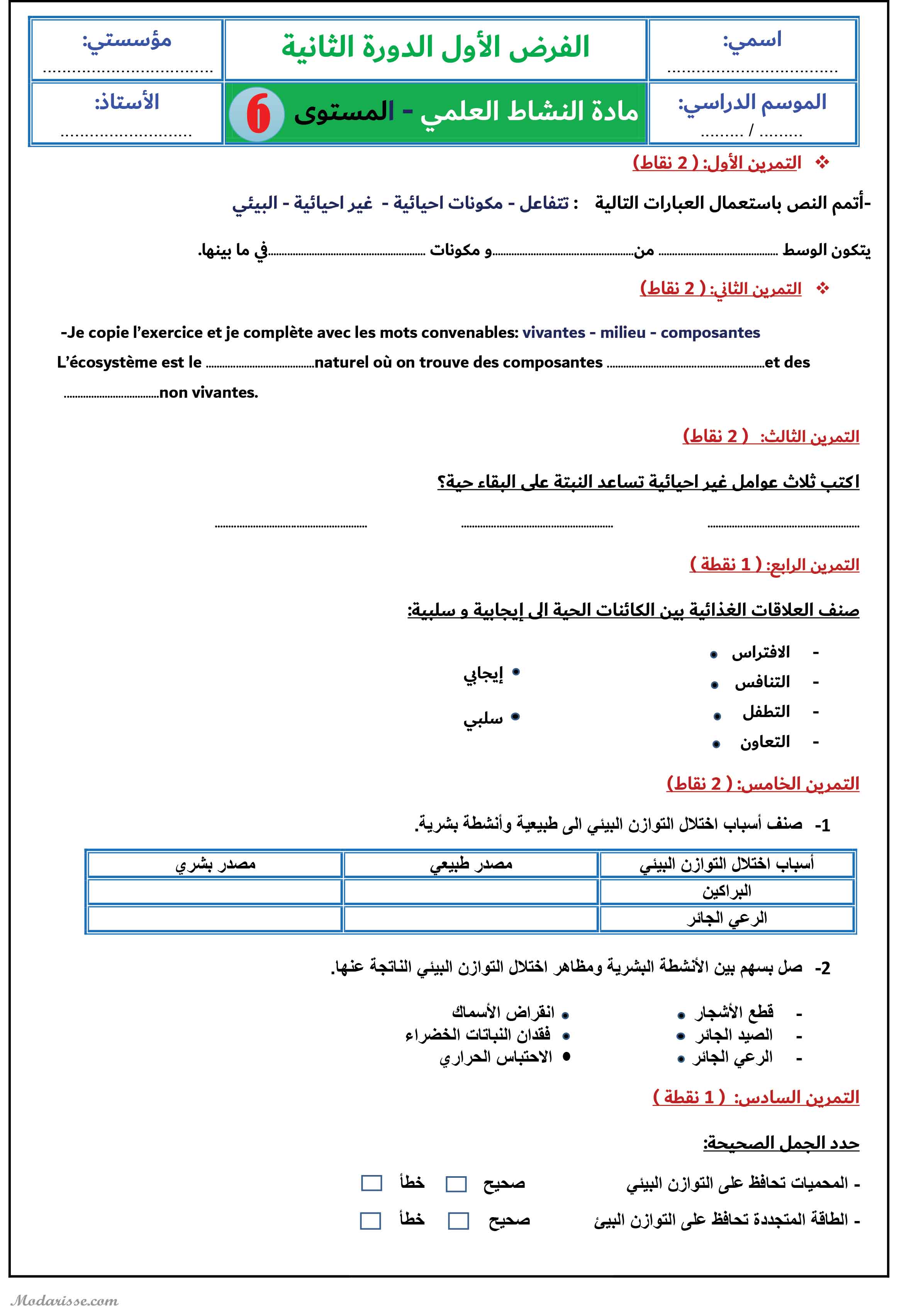 معاينة الامتحان
