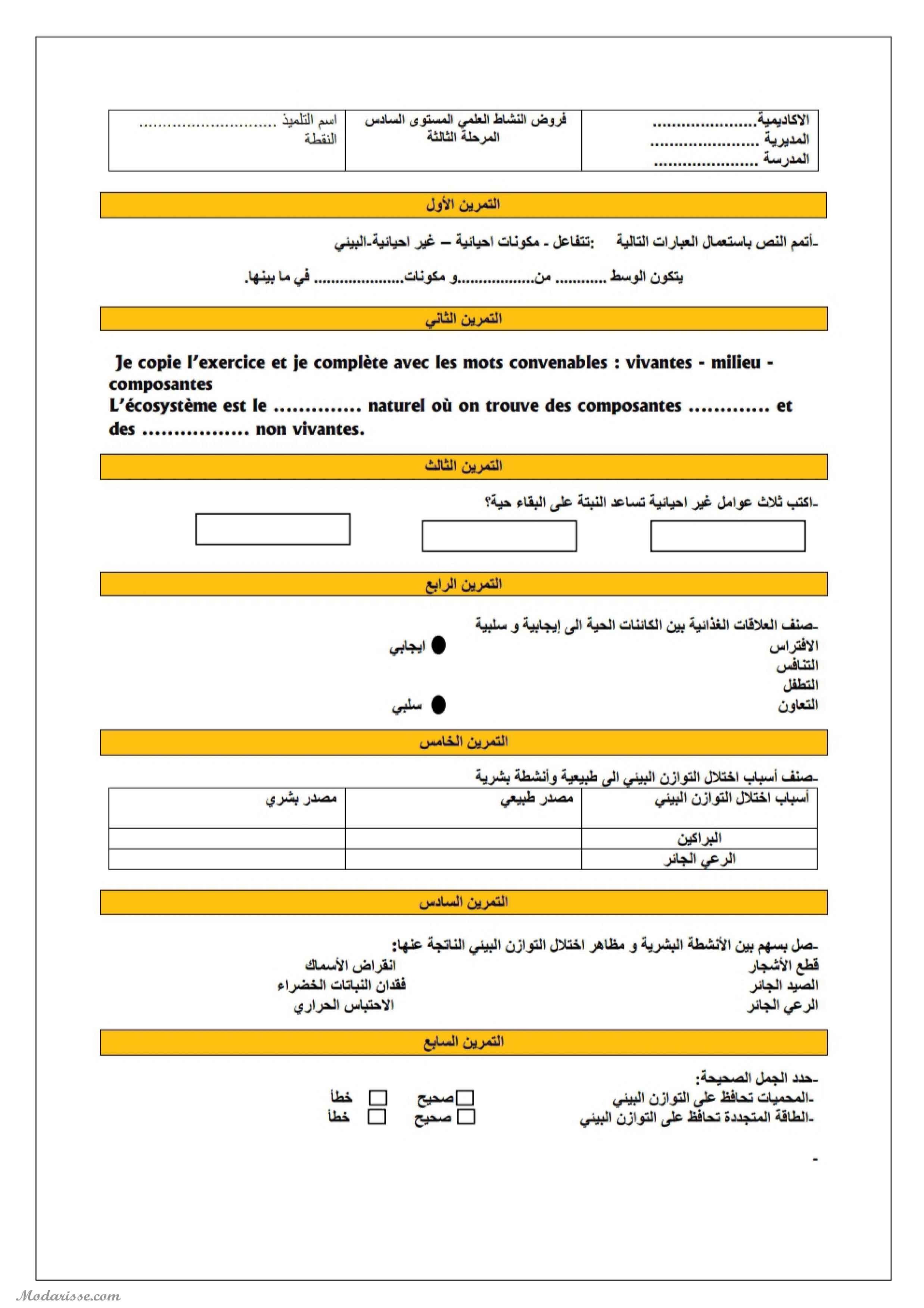 معاينة الامتحان
