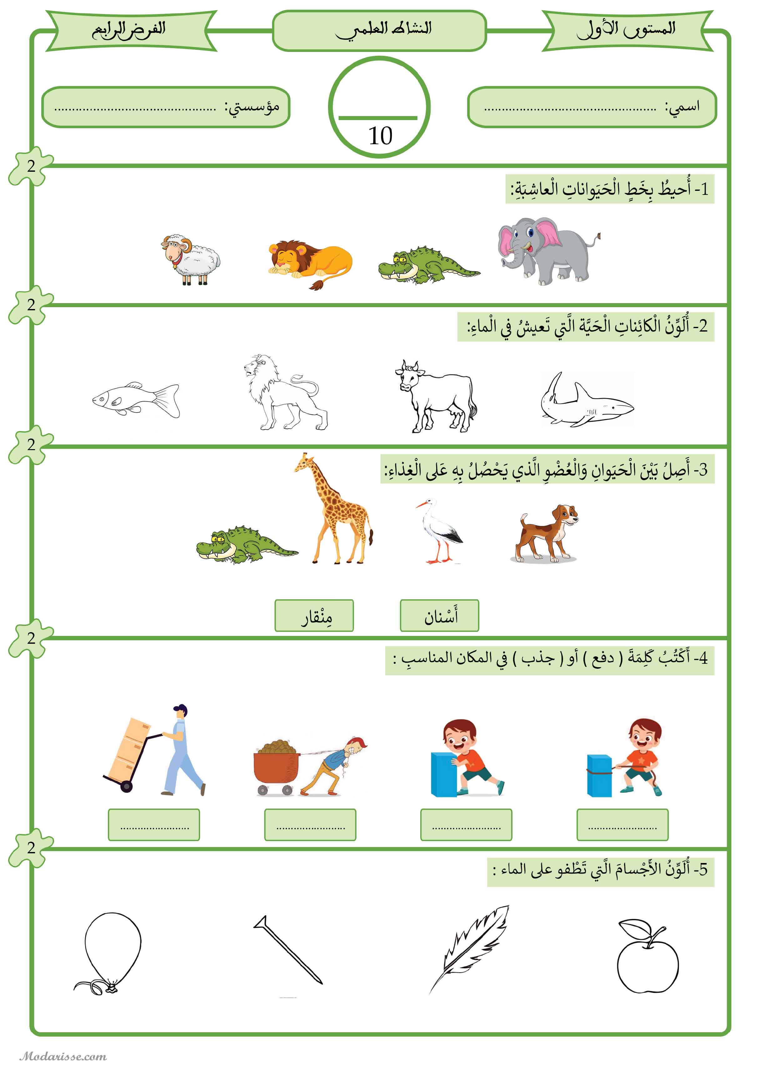 معاينة الامتحان
