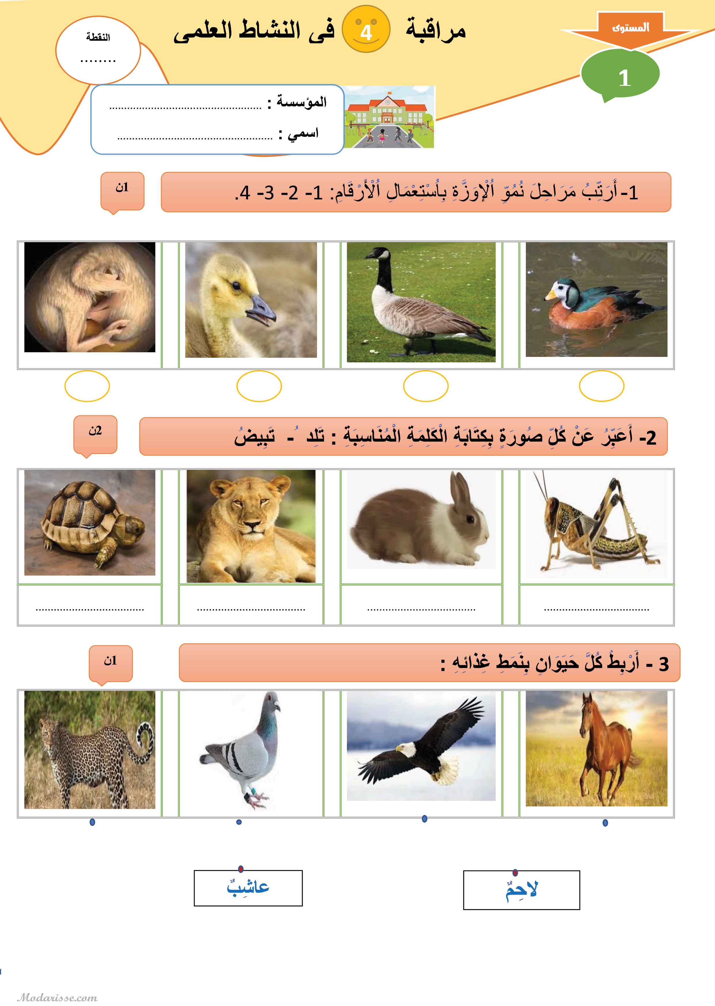 معاينة الامتحان