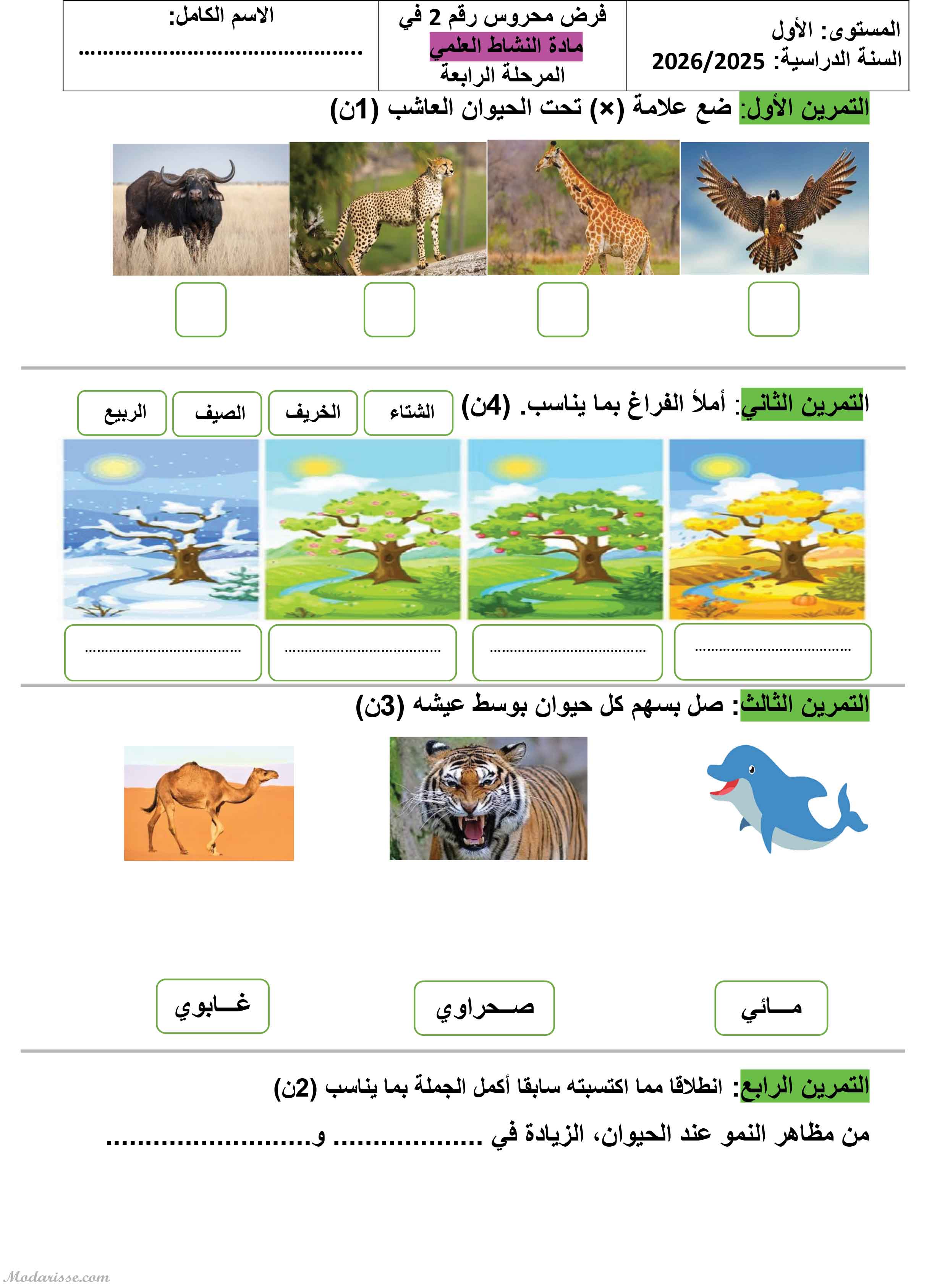 معاينة الامتحان