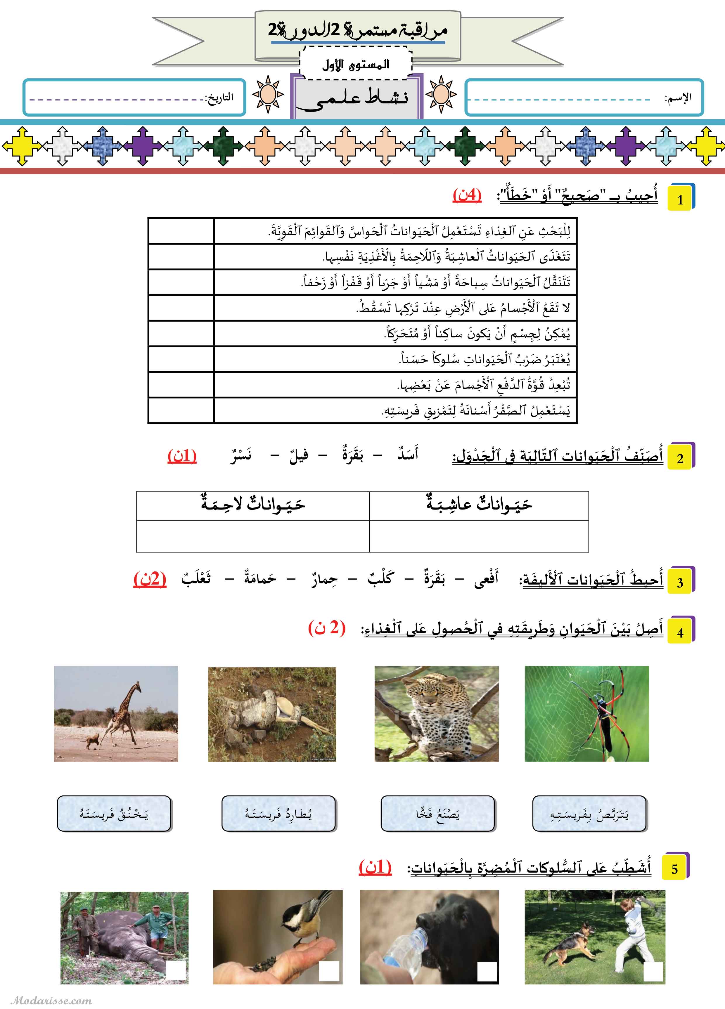 معاينة الامتحان
