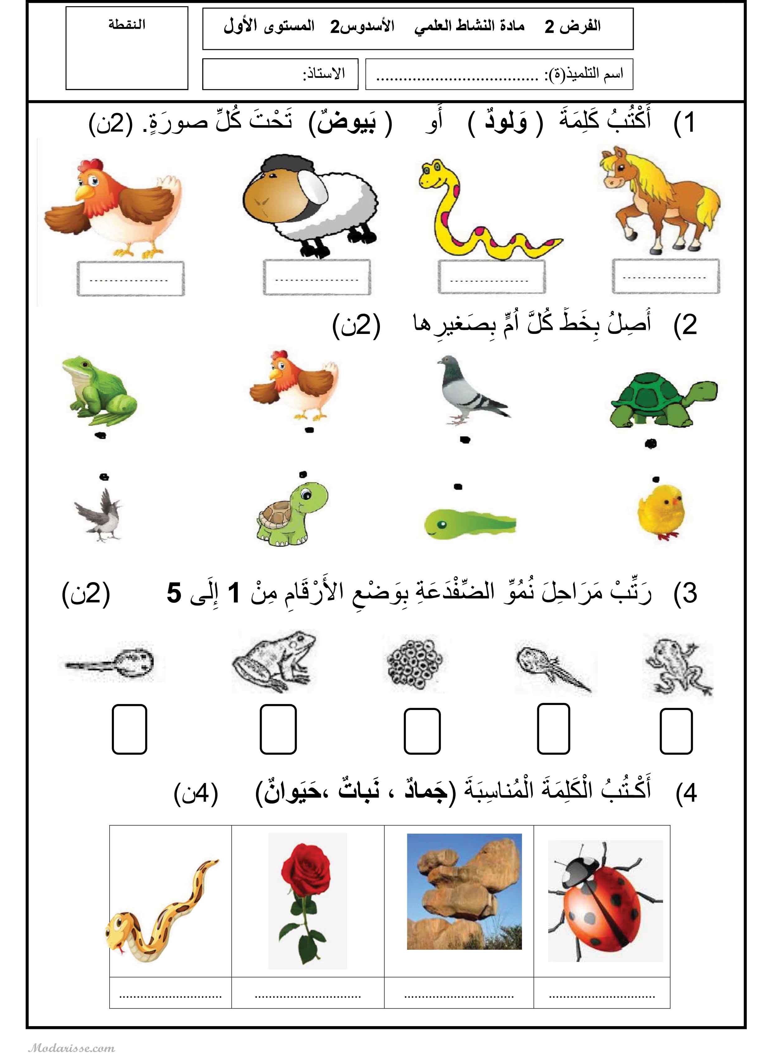 معاينة الامتحان