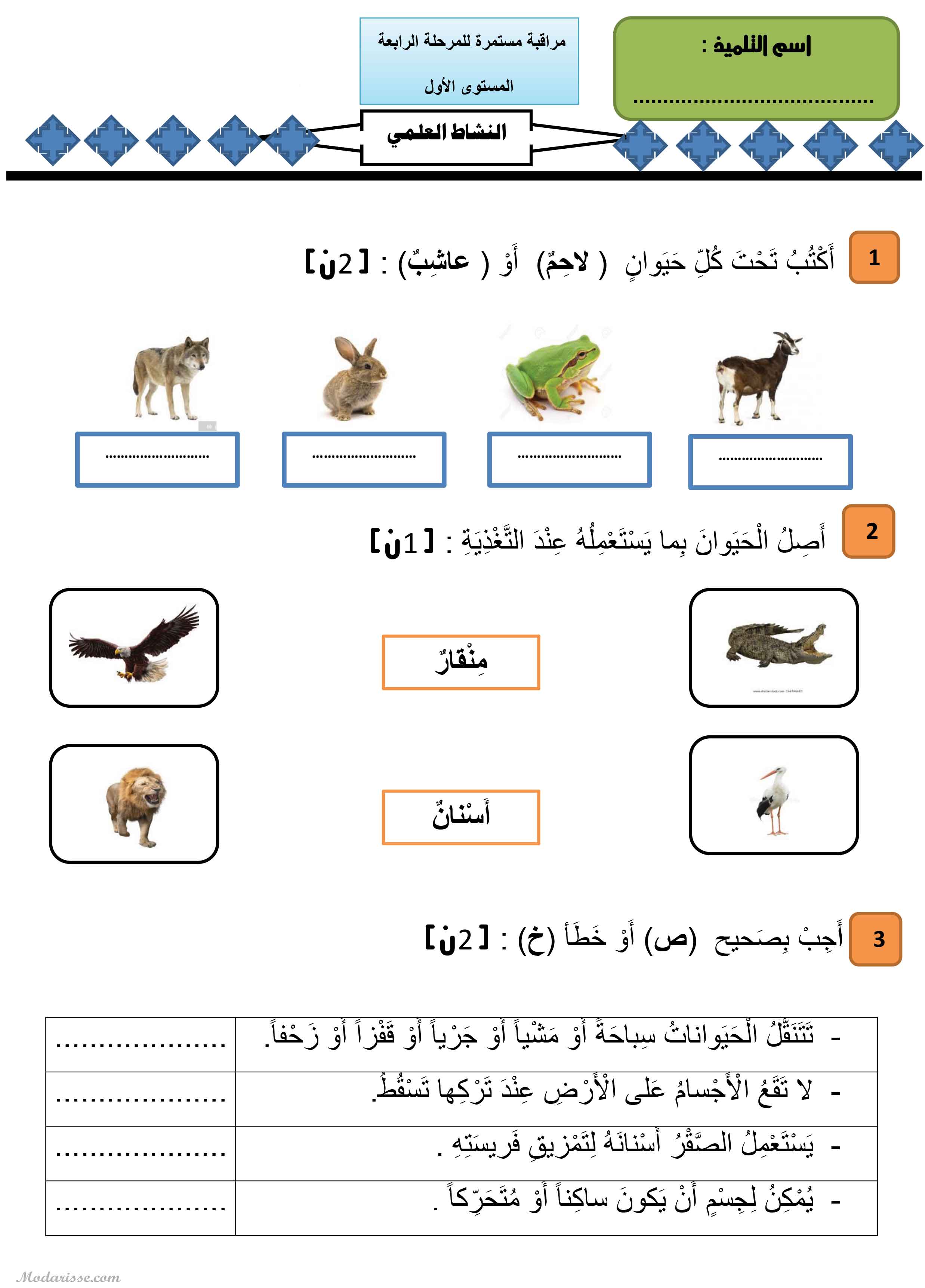 معاينة الامتحان
