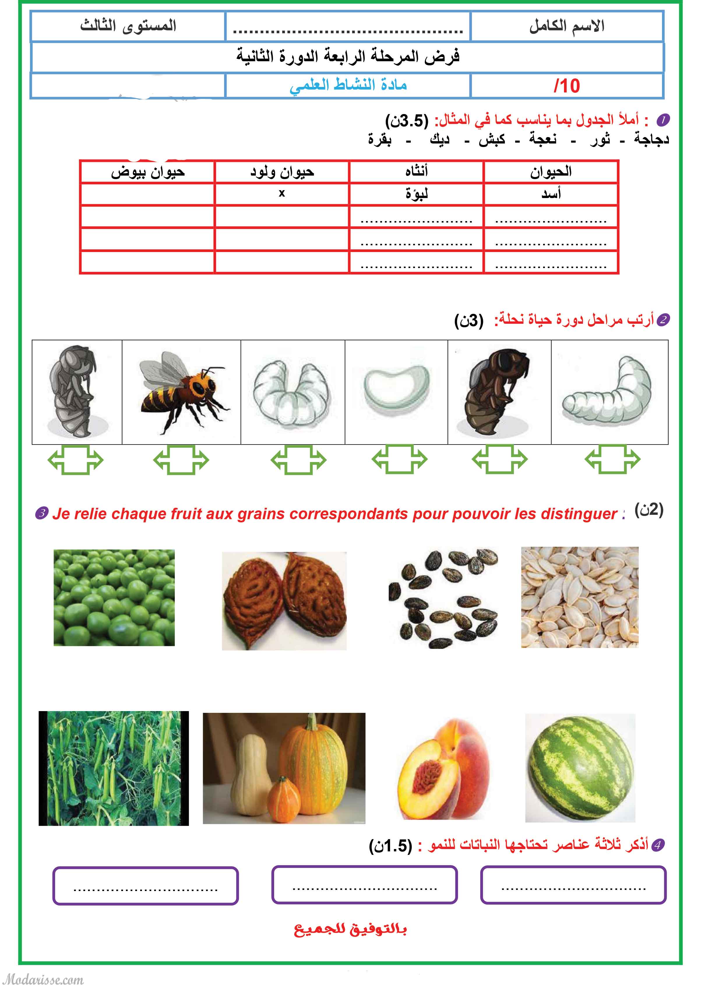 معاينة الامتحان