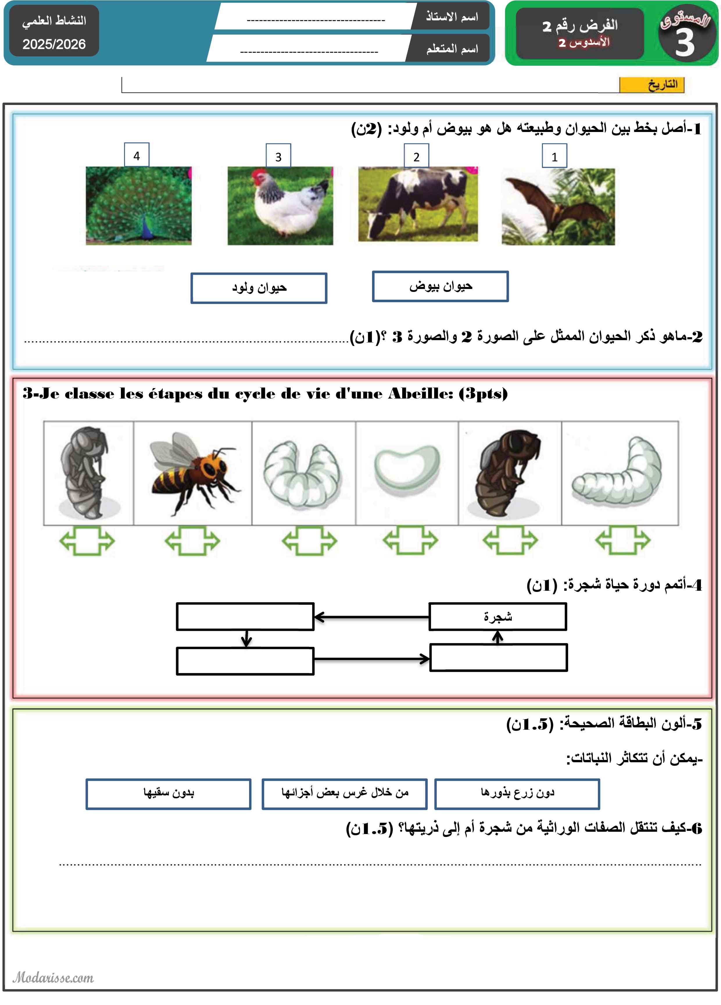معاينة الامتحان