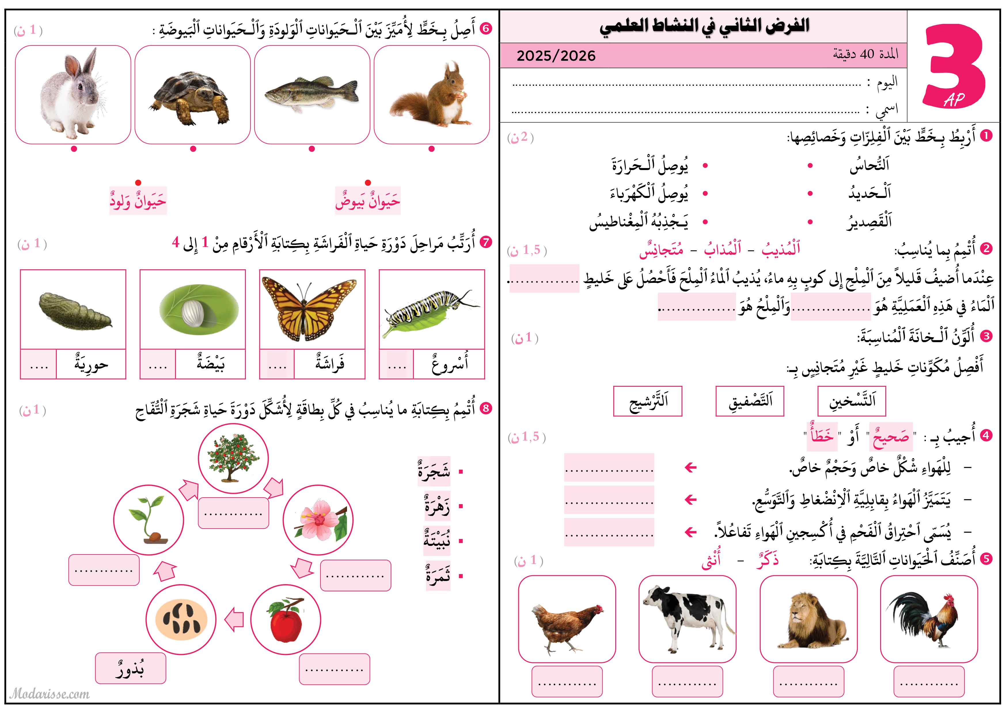 معاينة الامتحان