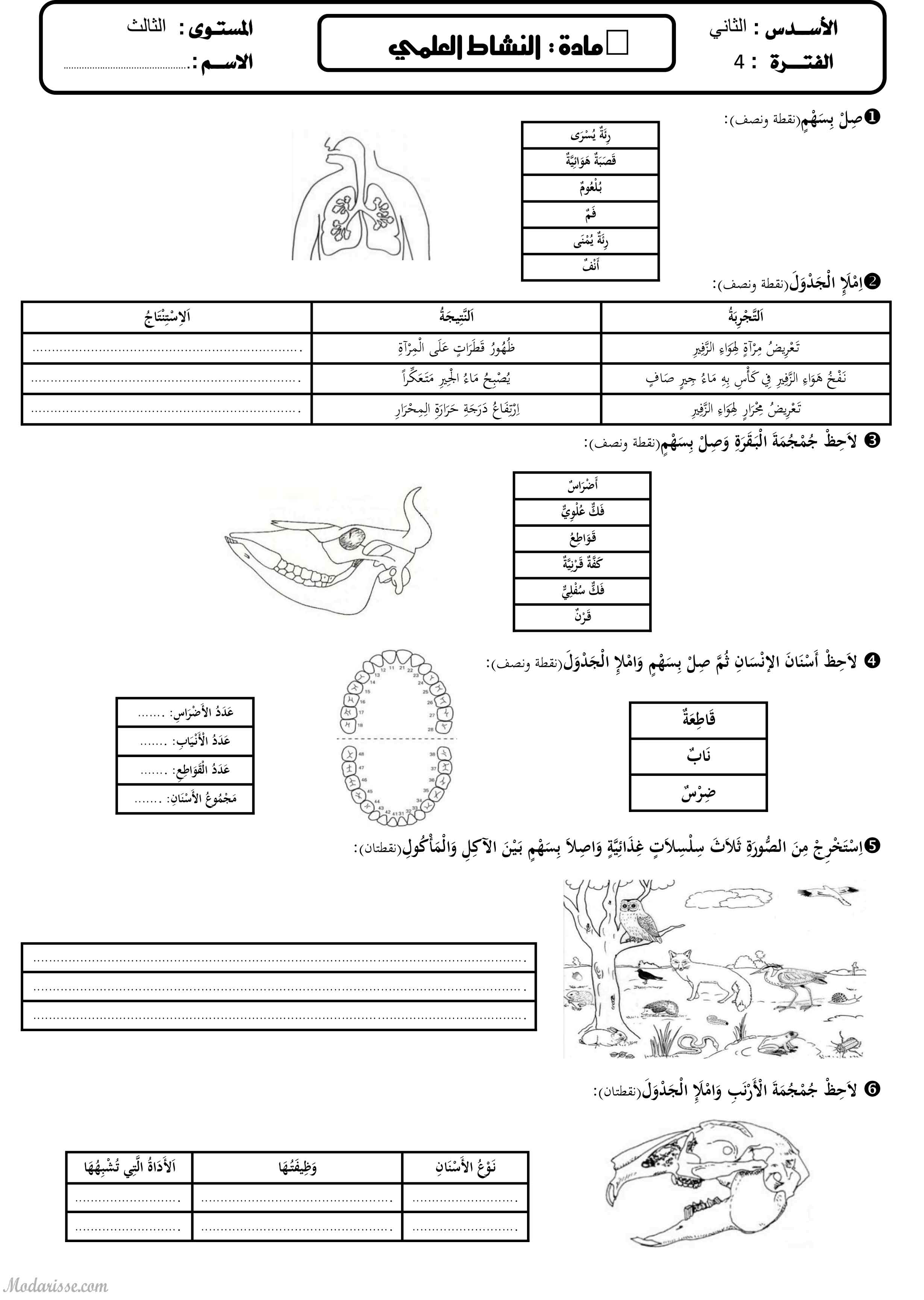 معاينة الامتحان