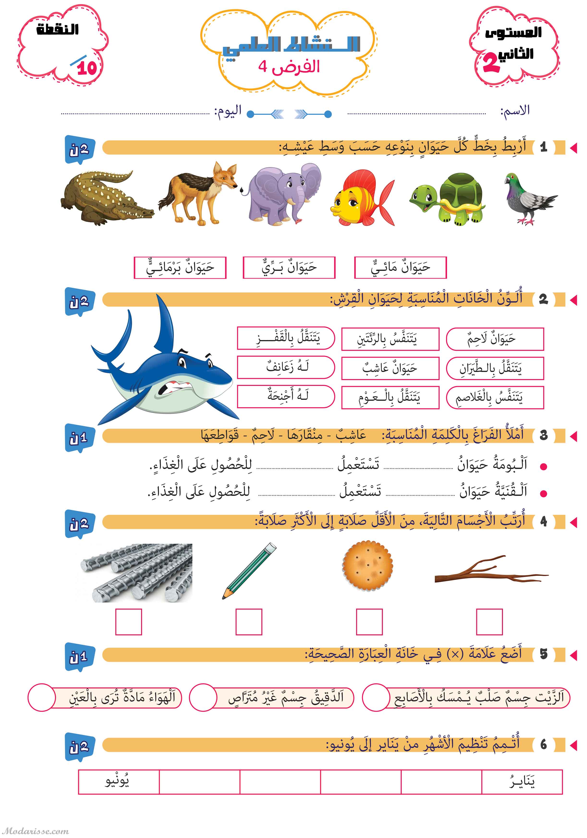 معاينة الامتحان