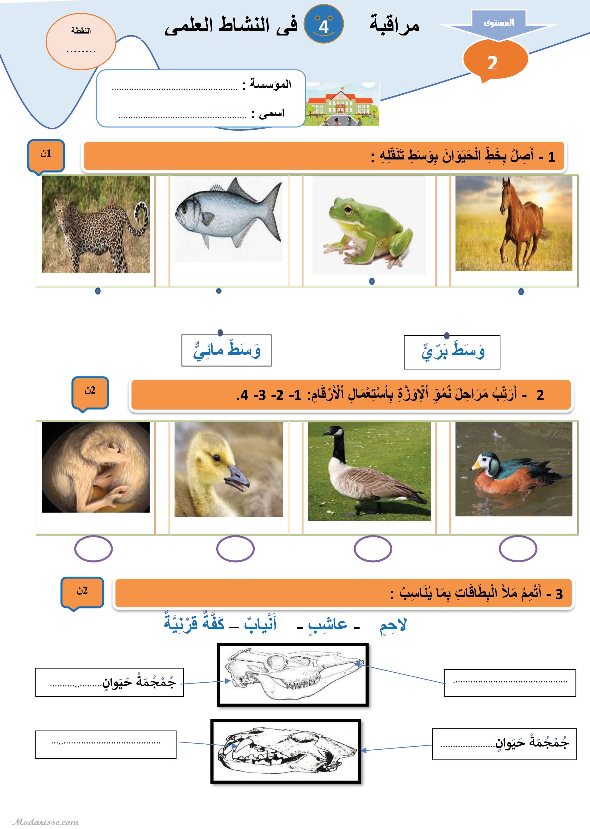 معاينة الامتحان