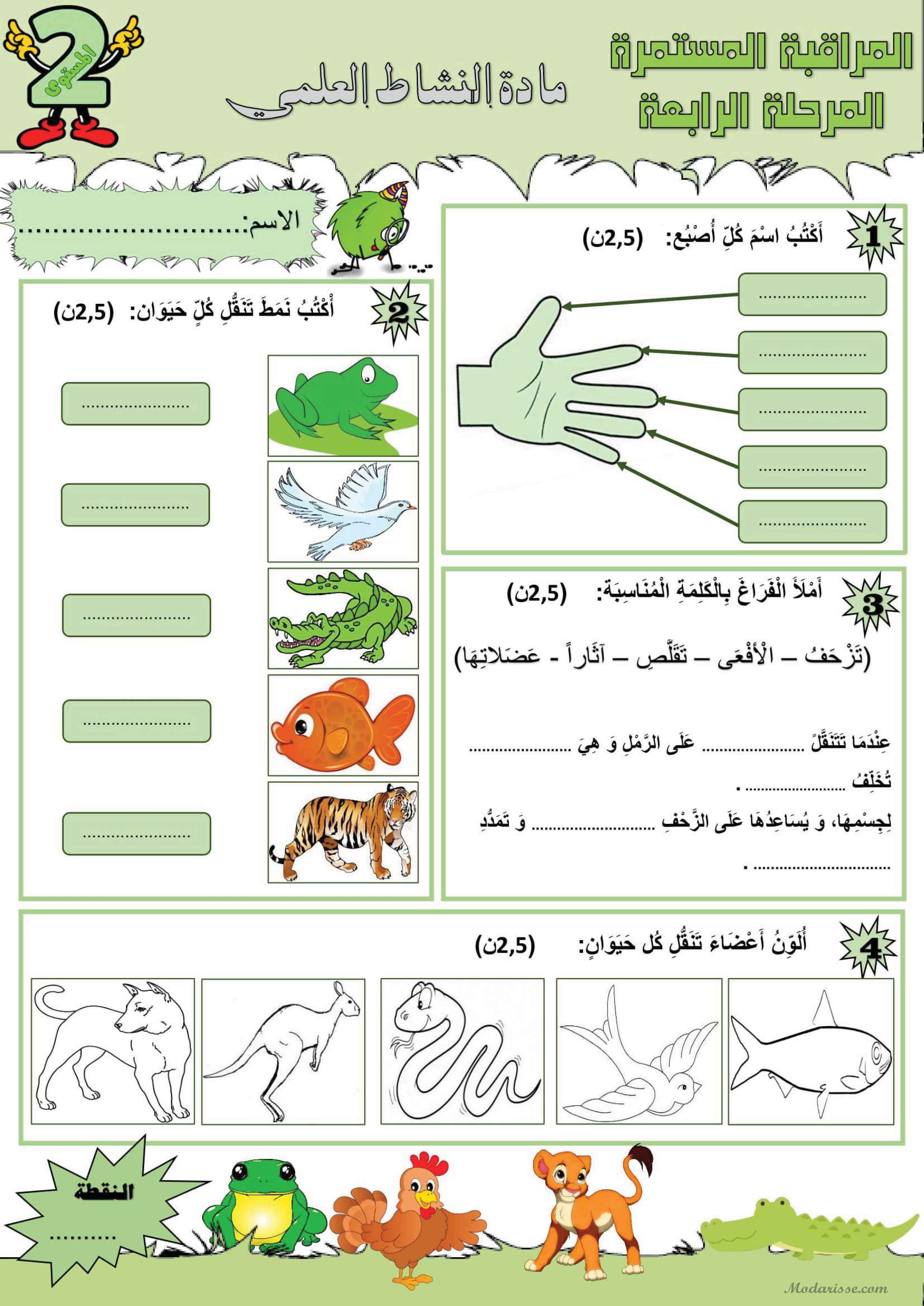 معاينة الامتحان