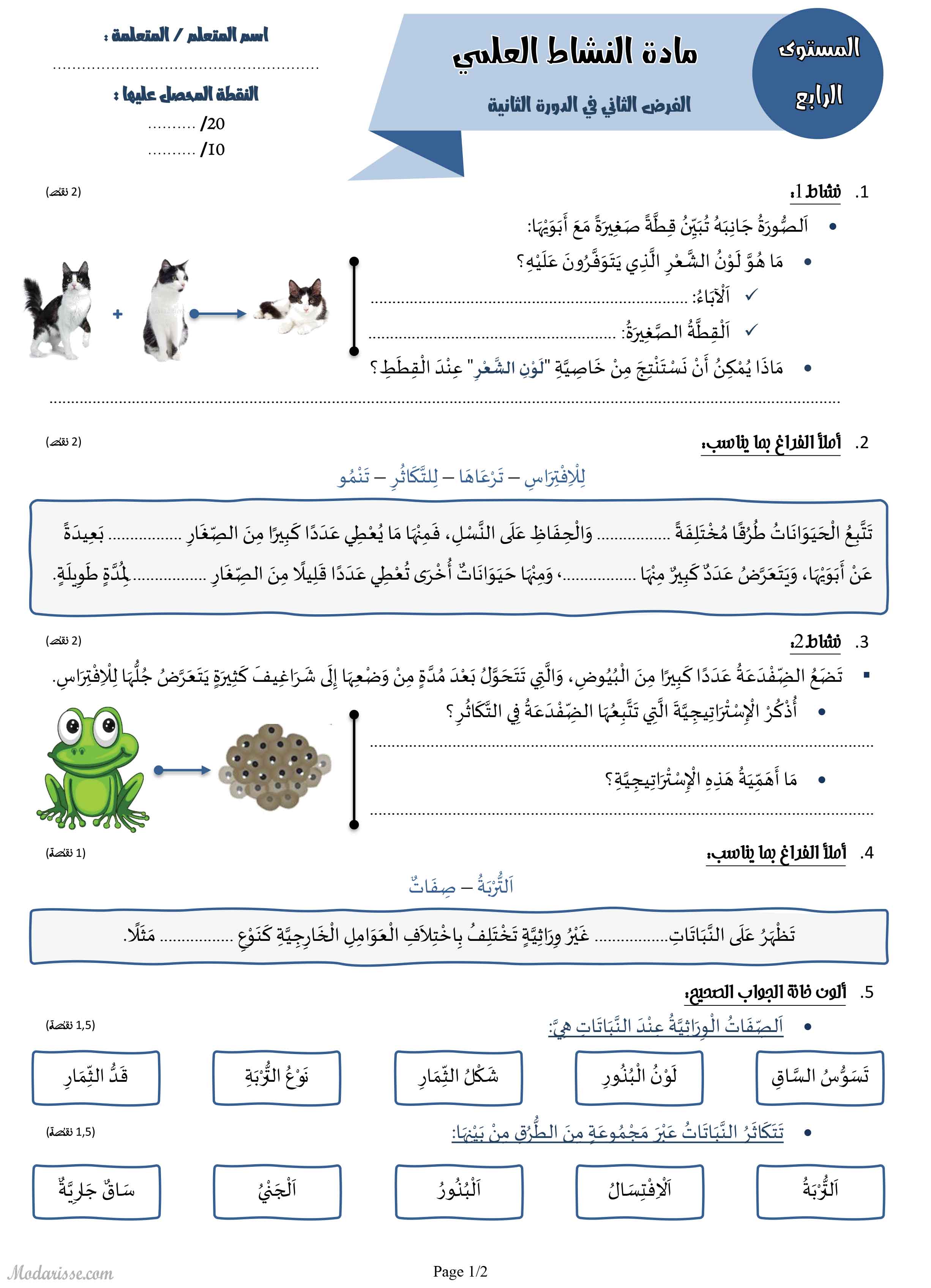 معاينة الامتحان