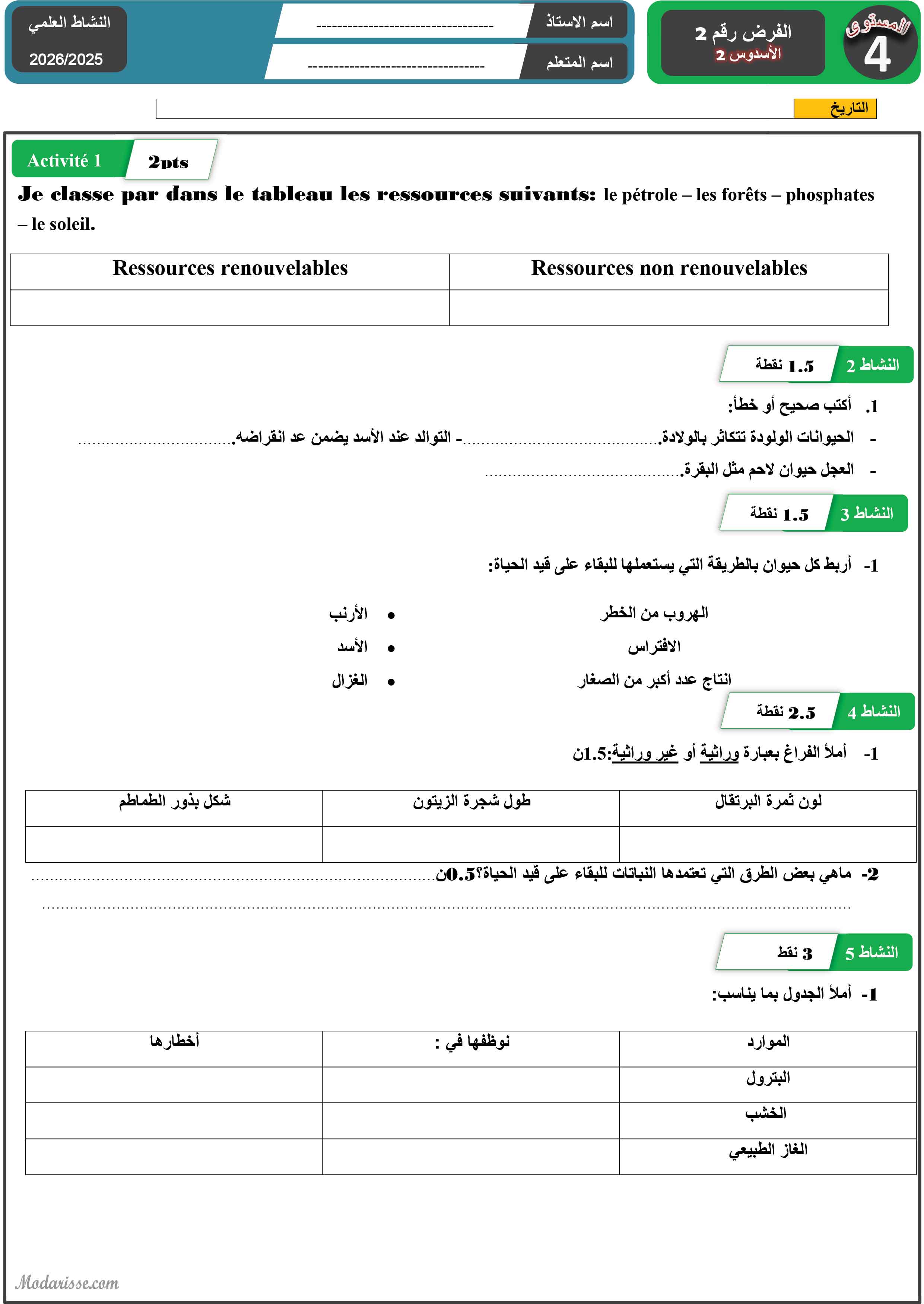 معاينة الامتحان
