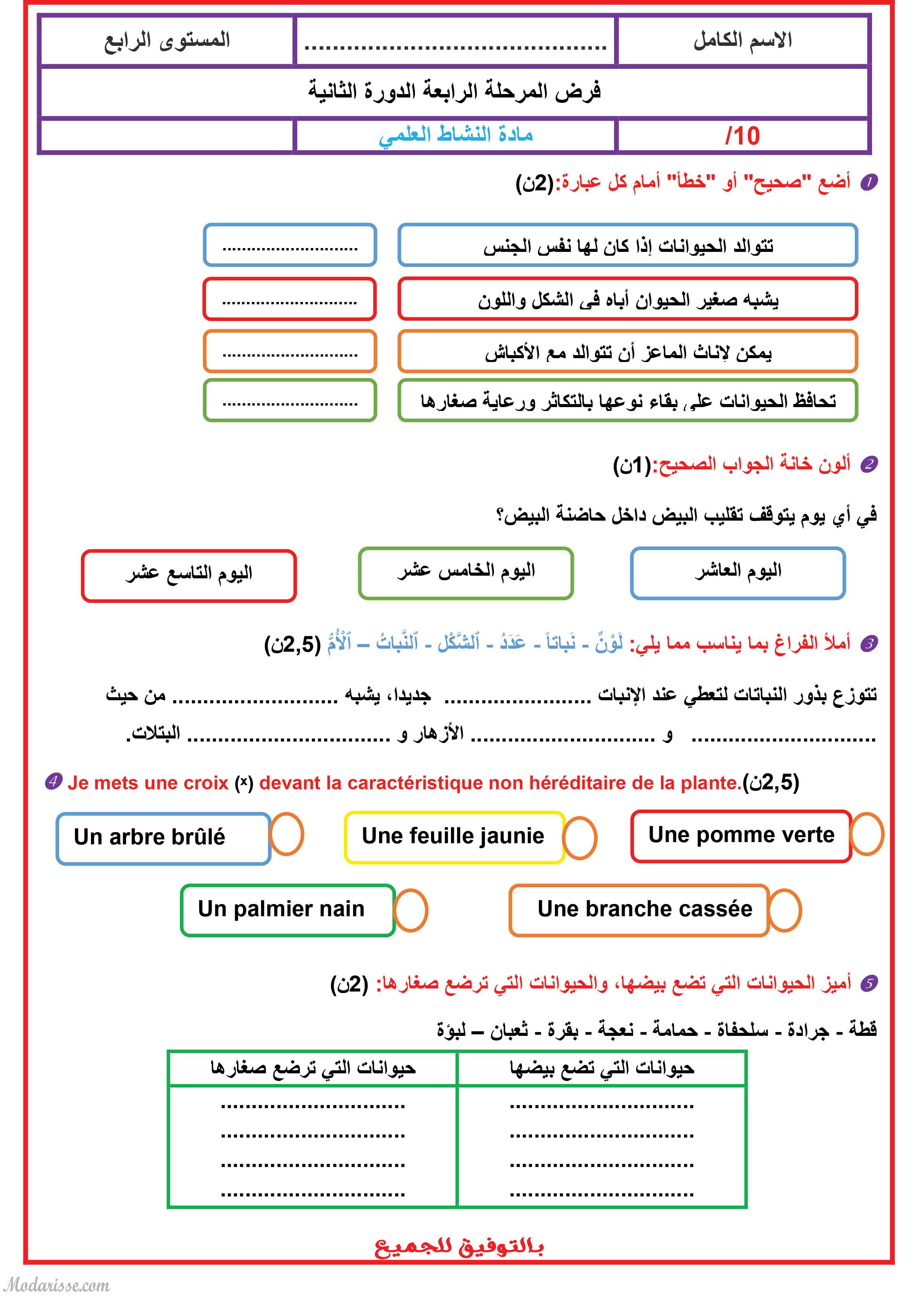 معاينة الامتحان
