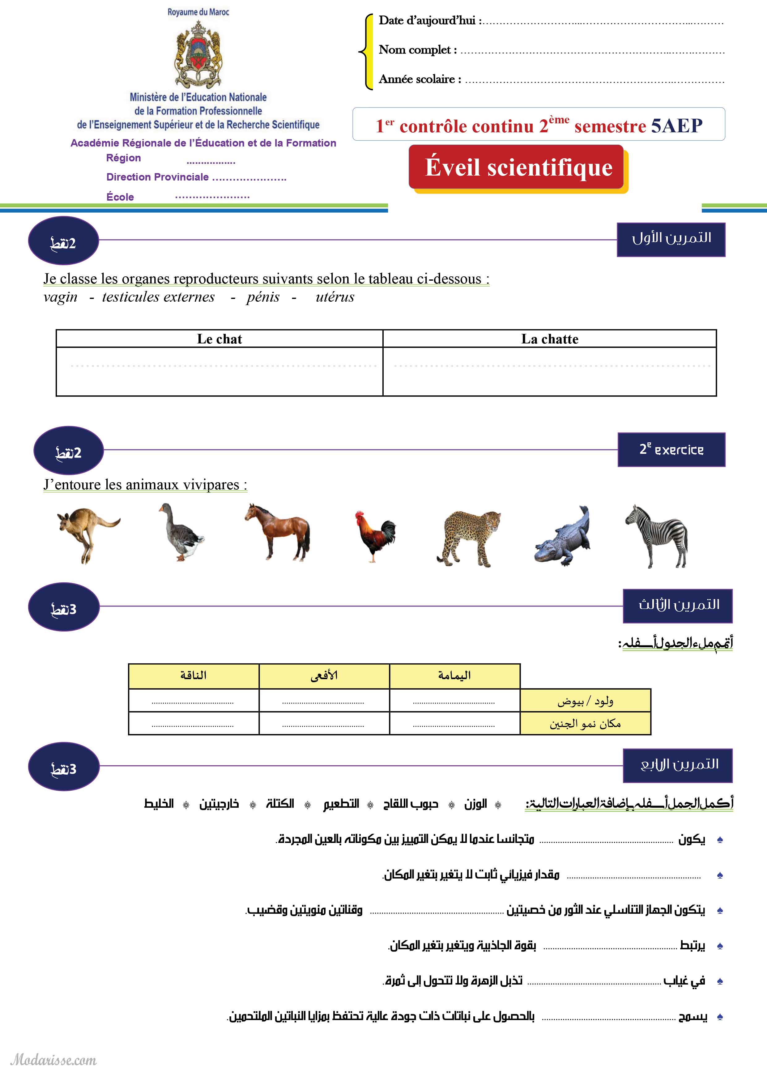 معاينة الامتحان