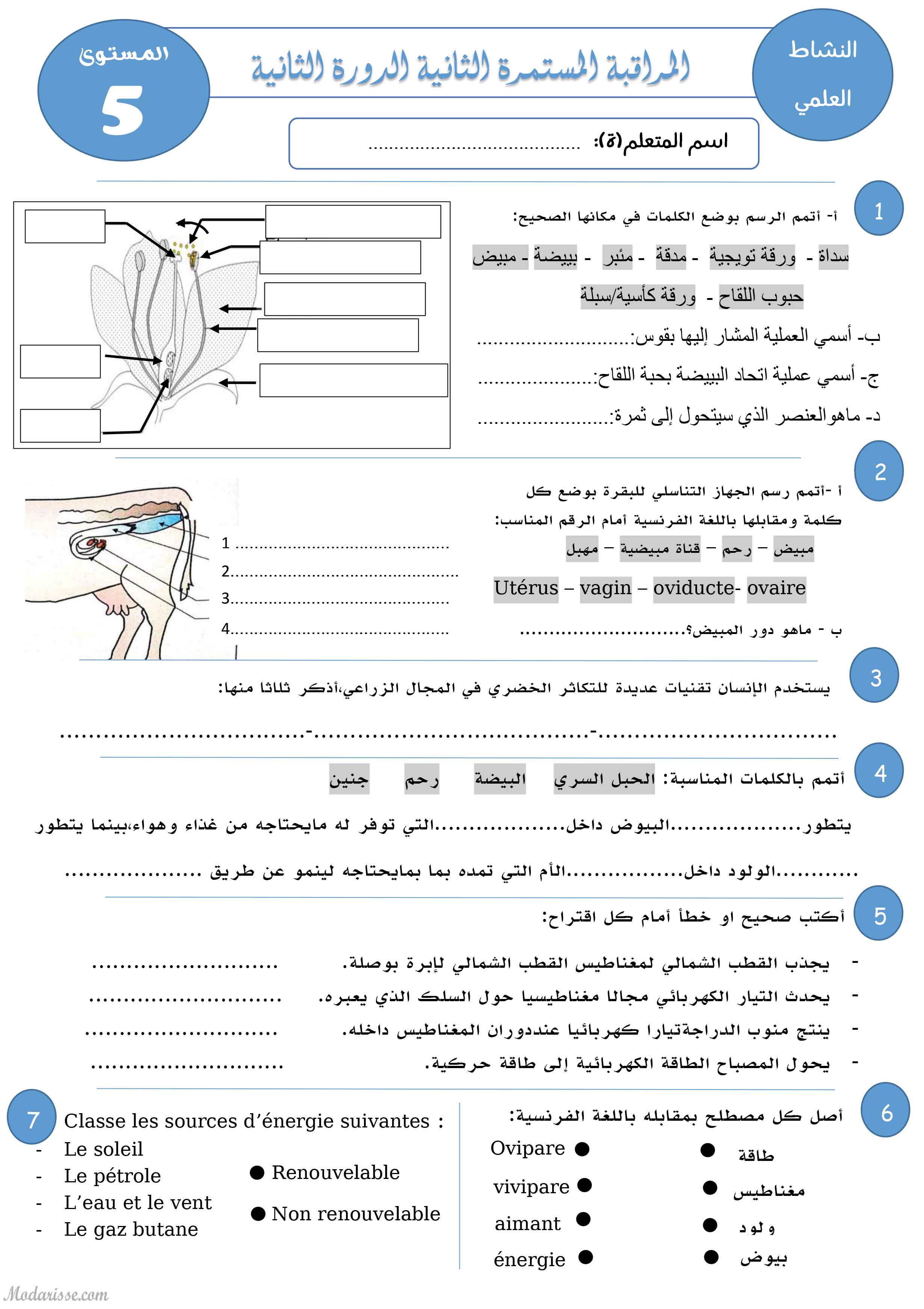 معاينة الامتحان