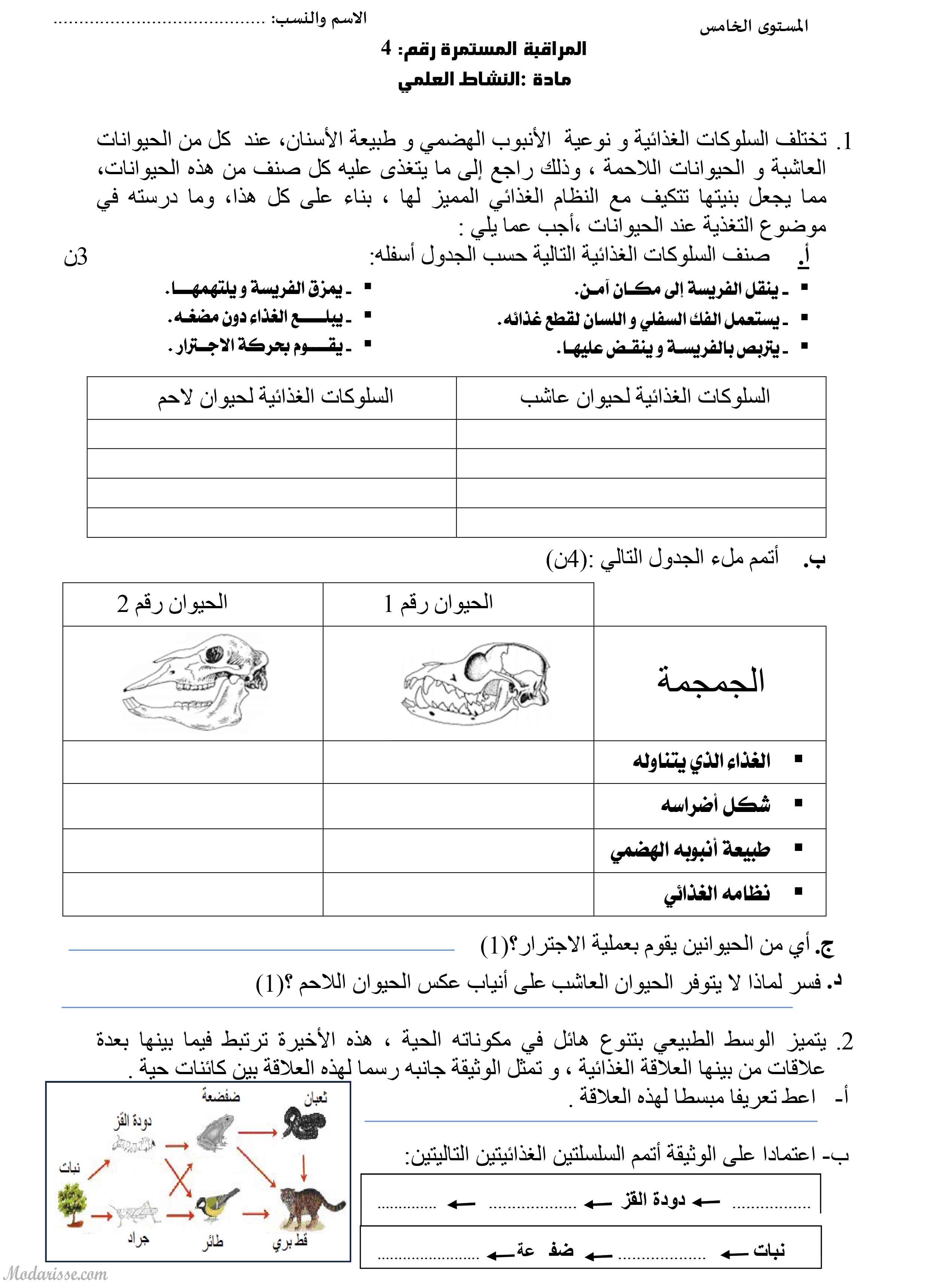 معاينة الامتحان