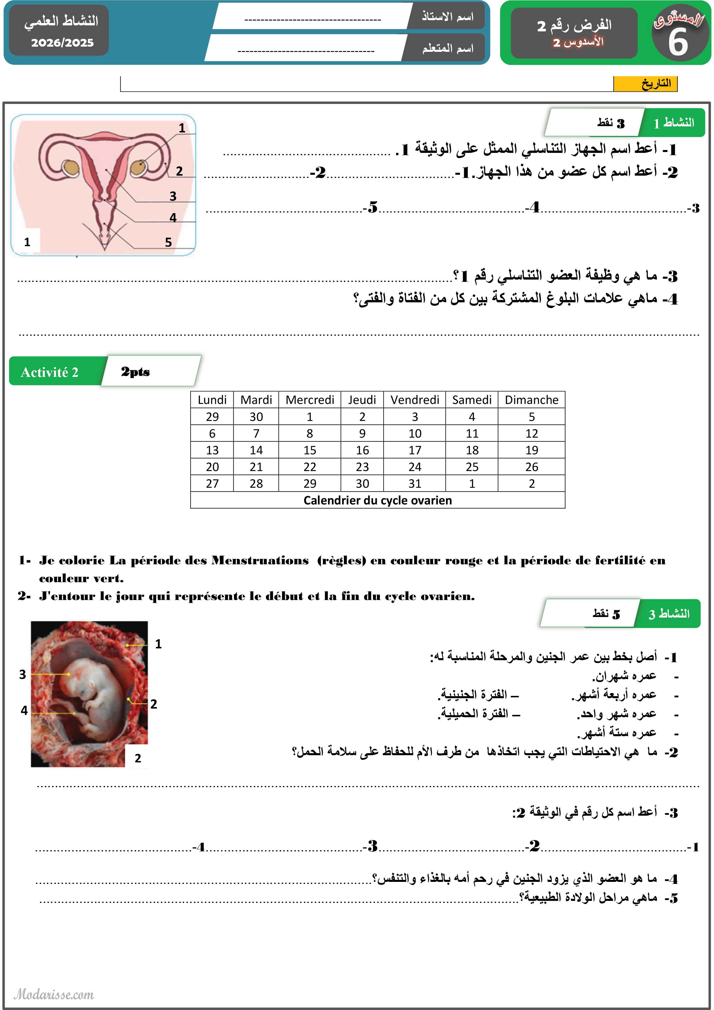 معاينة الامتحان