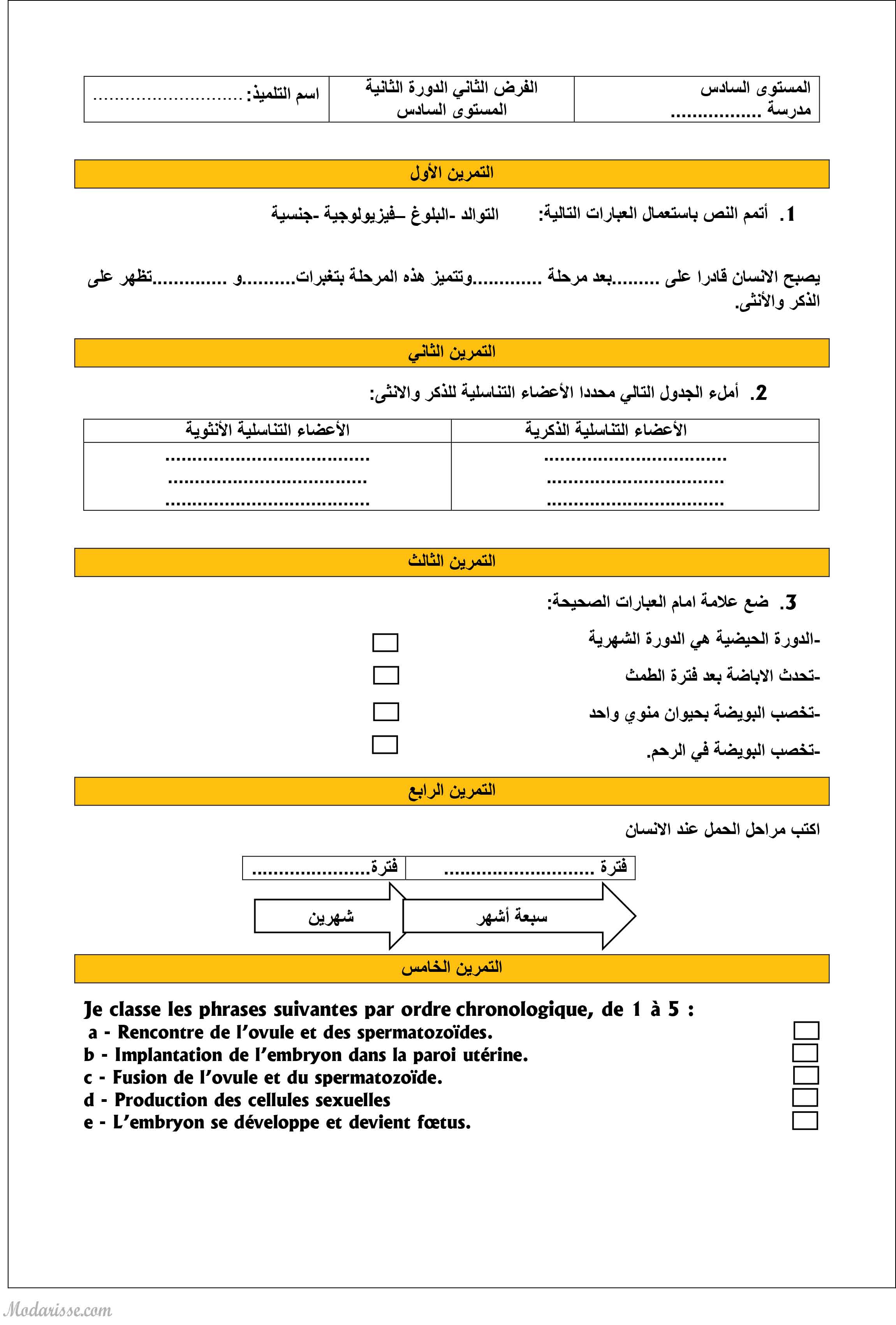 معاينة الامتحان