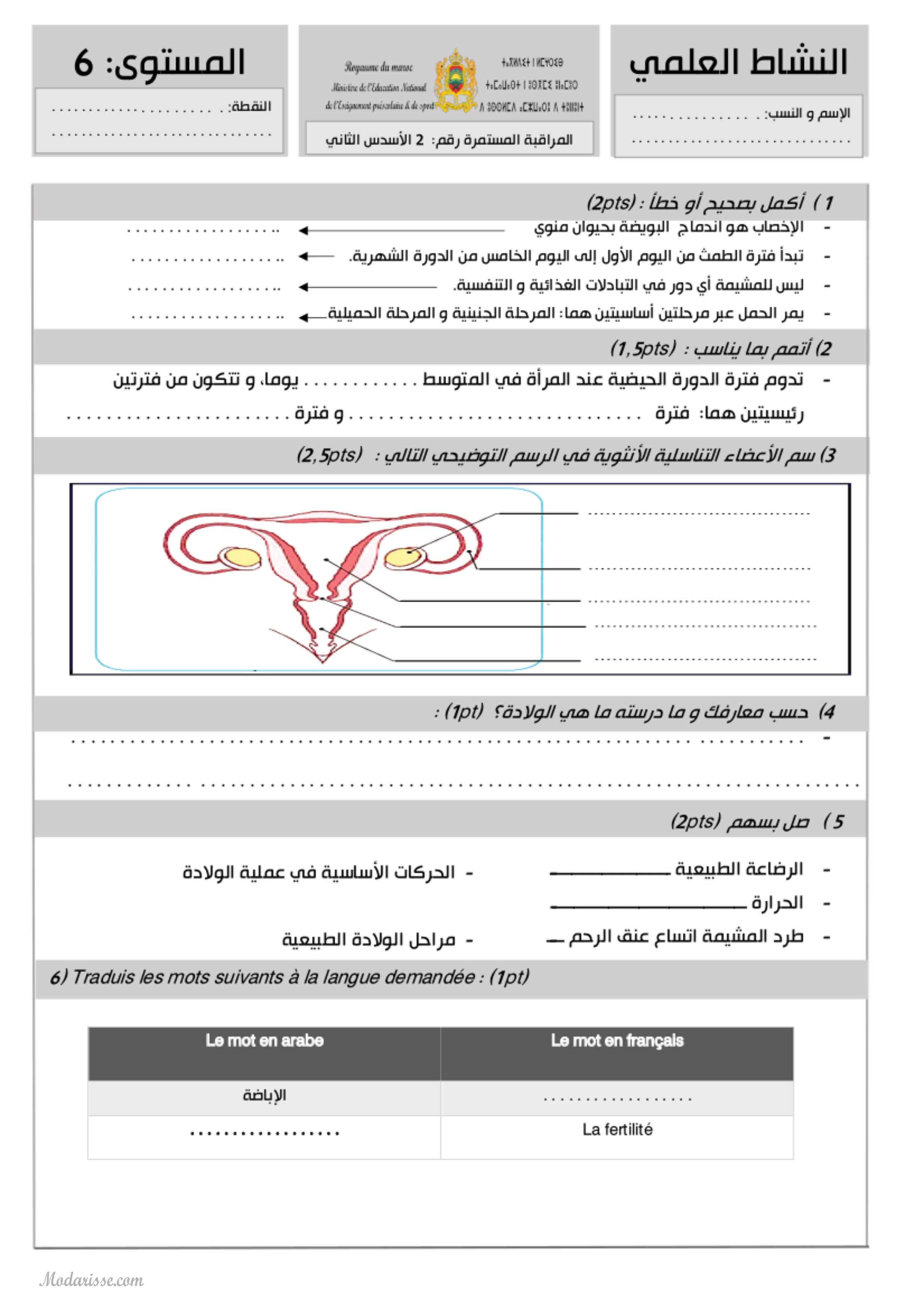 معاينة الامتحان
