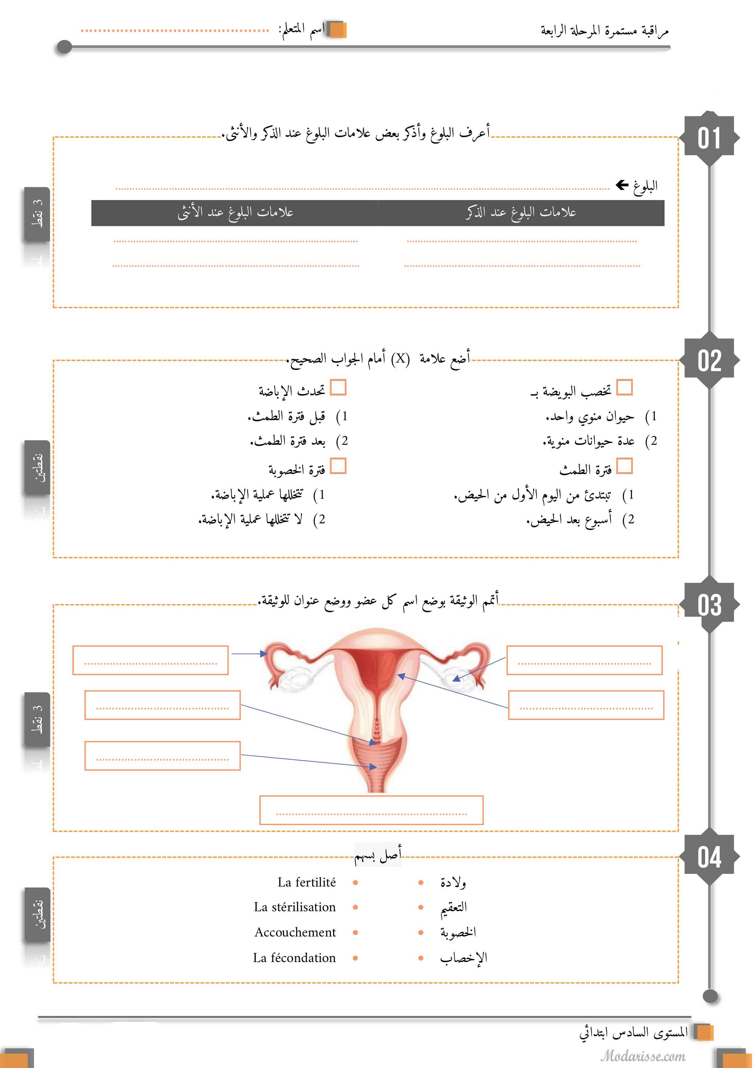 معاينة الامتحان